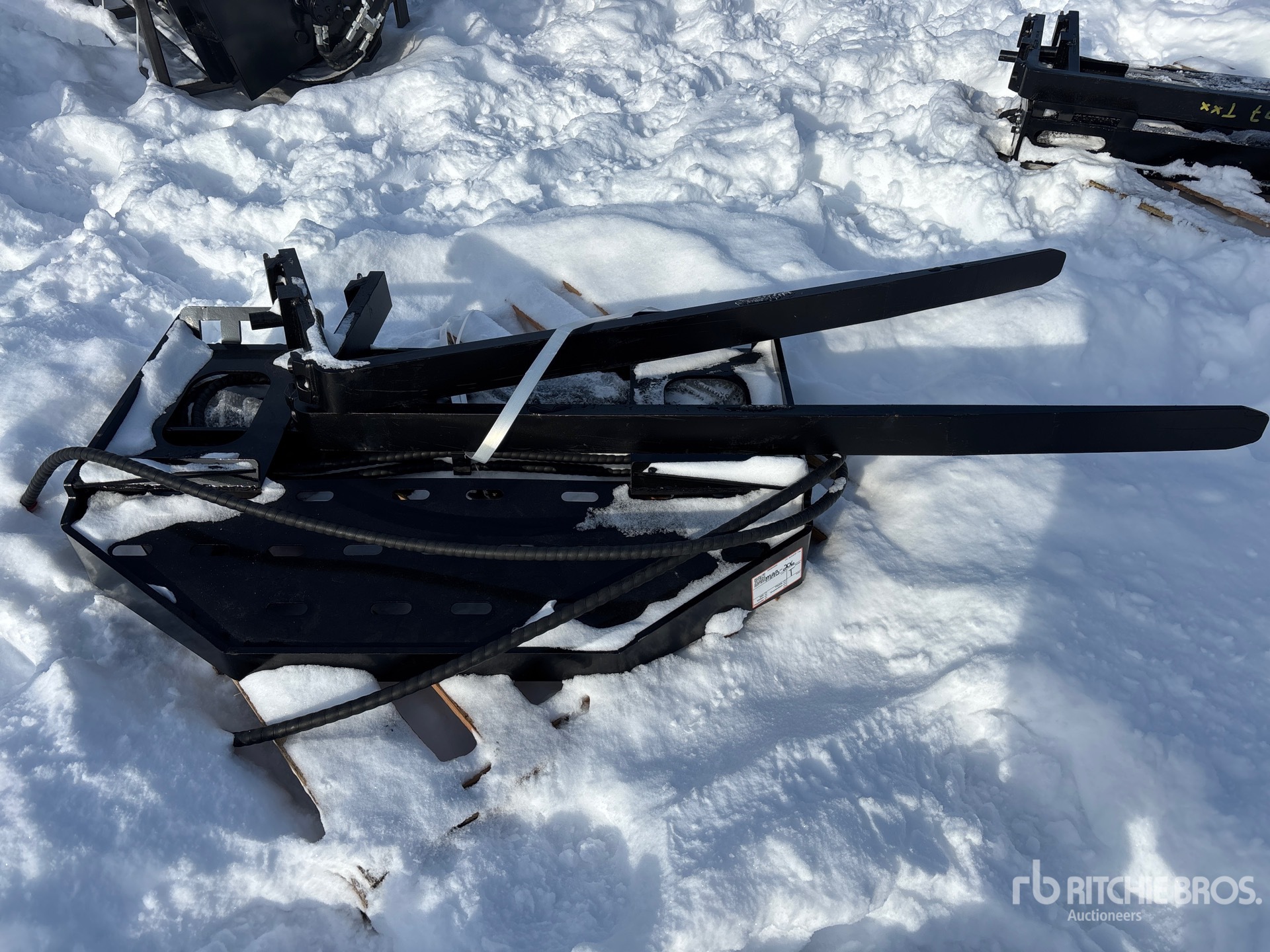 General Appearance with Foto, angolo anteriore sinistro