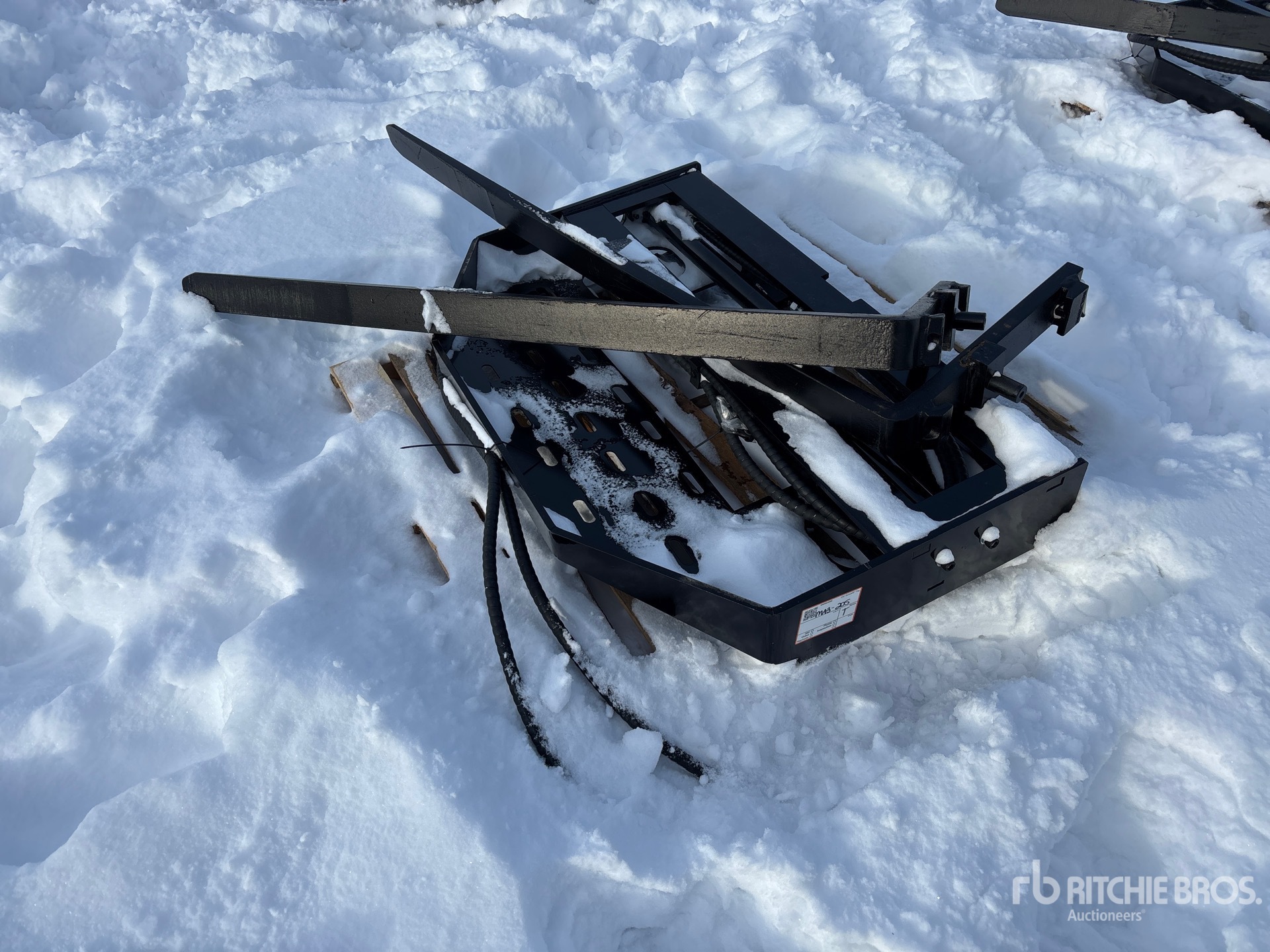 General Appearance with Foto, angolo anteriore sinistro