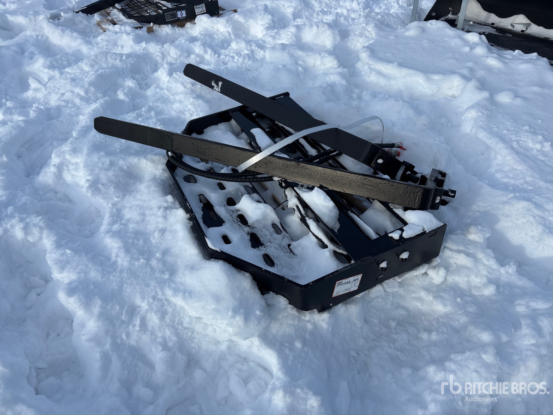 General Appearance with Foto, angolo anteriore sinistro