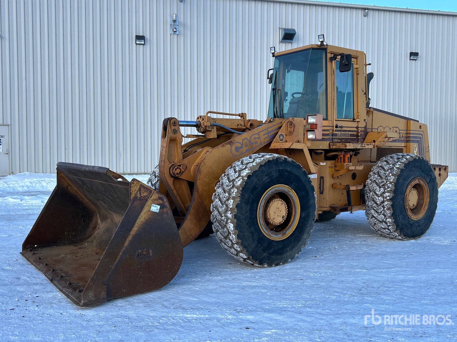 General Appearance with Spin