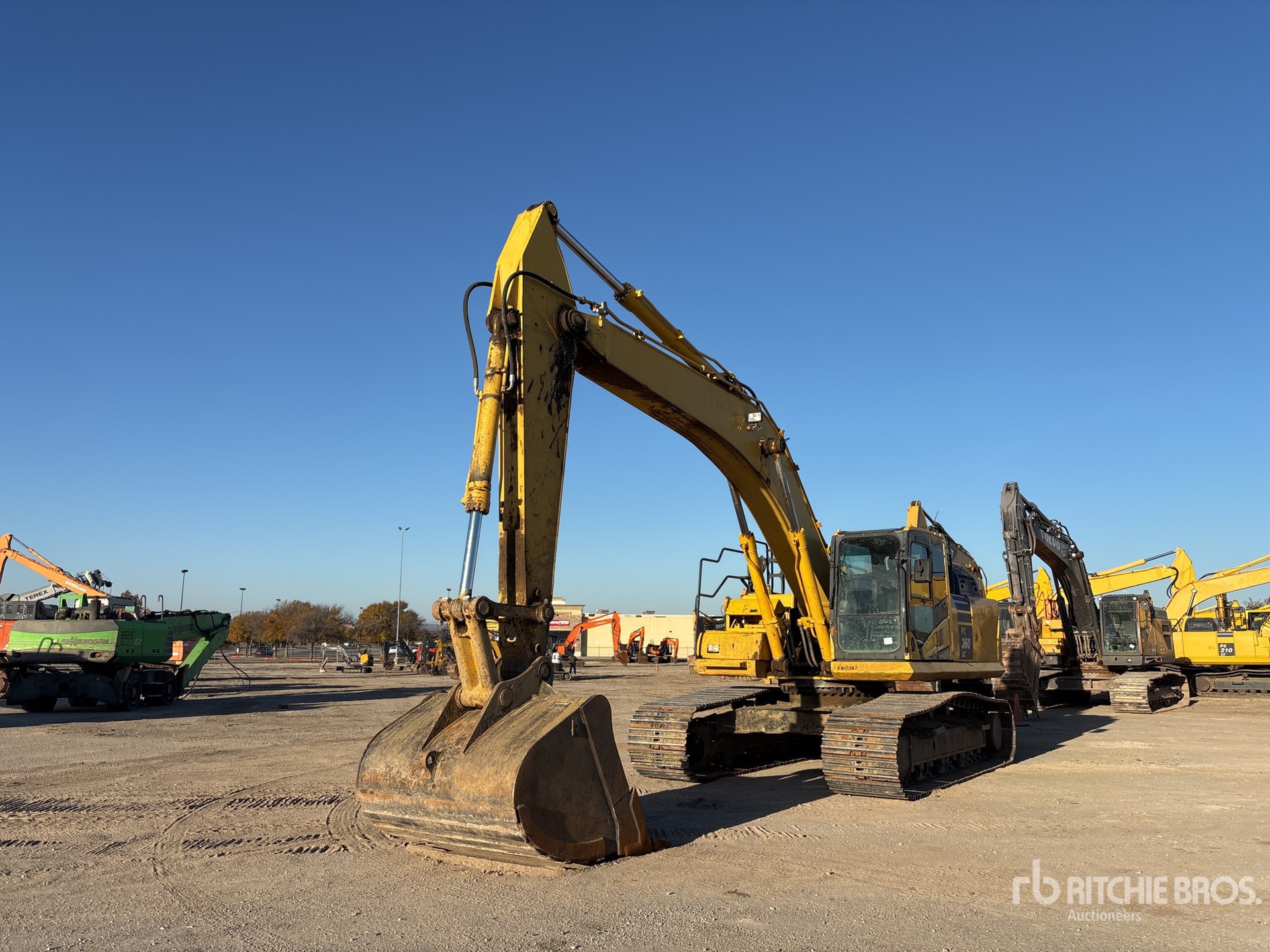 General Appearance with Spin