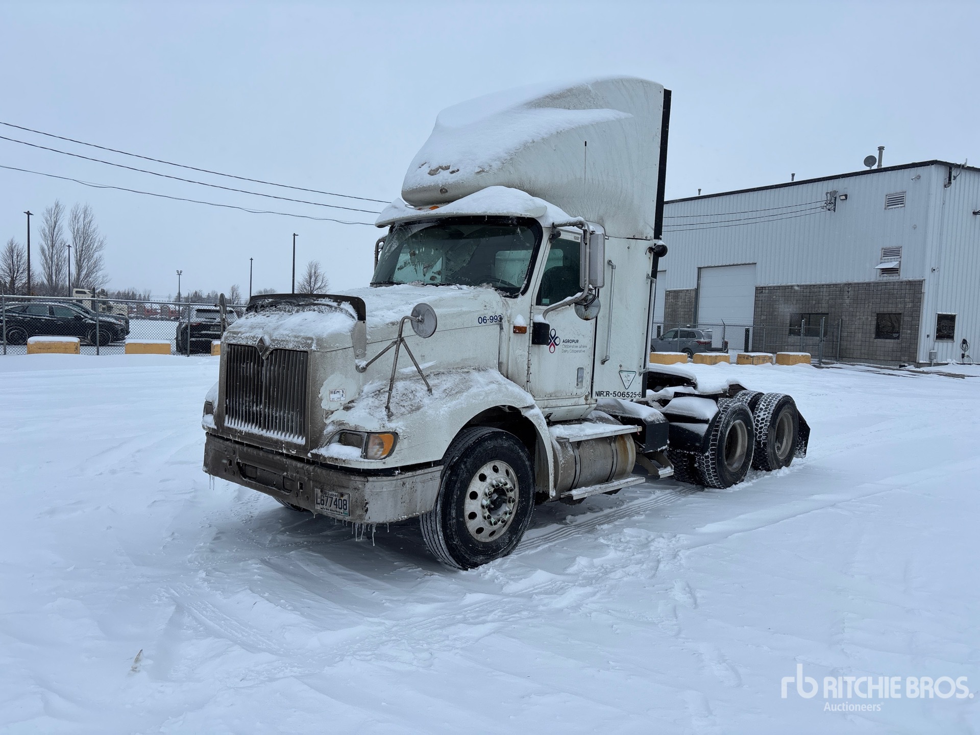 General Appearance with Spin