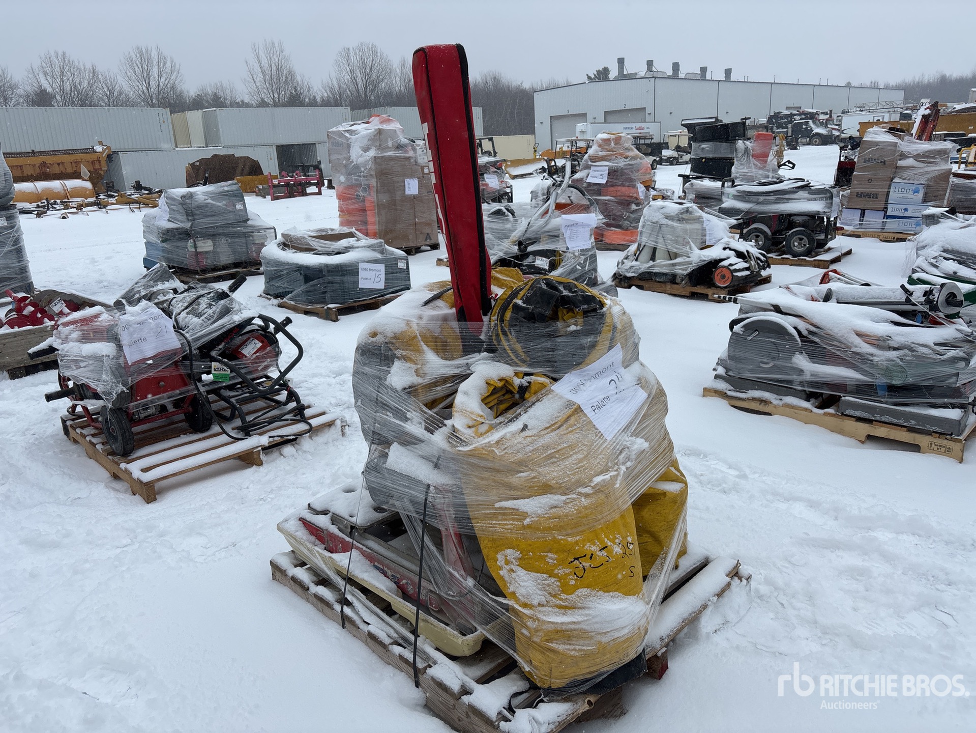 General Appearance with Zdjęcie, prawy górny róg