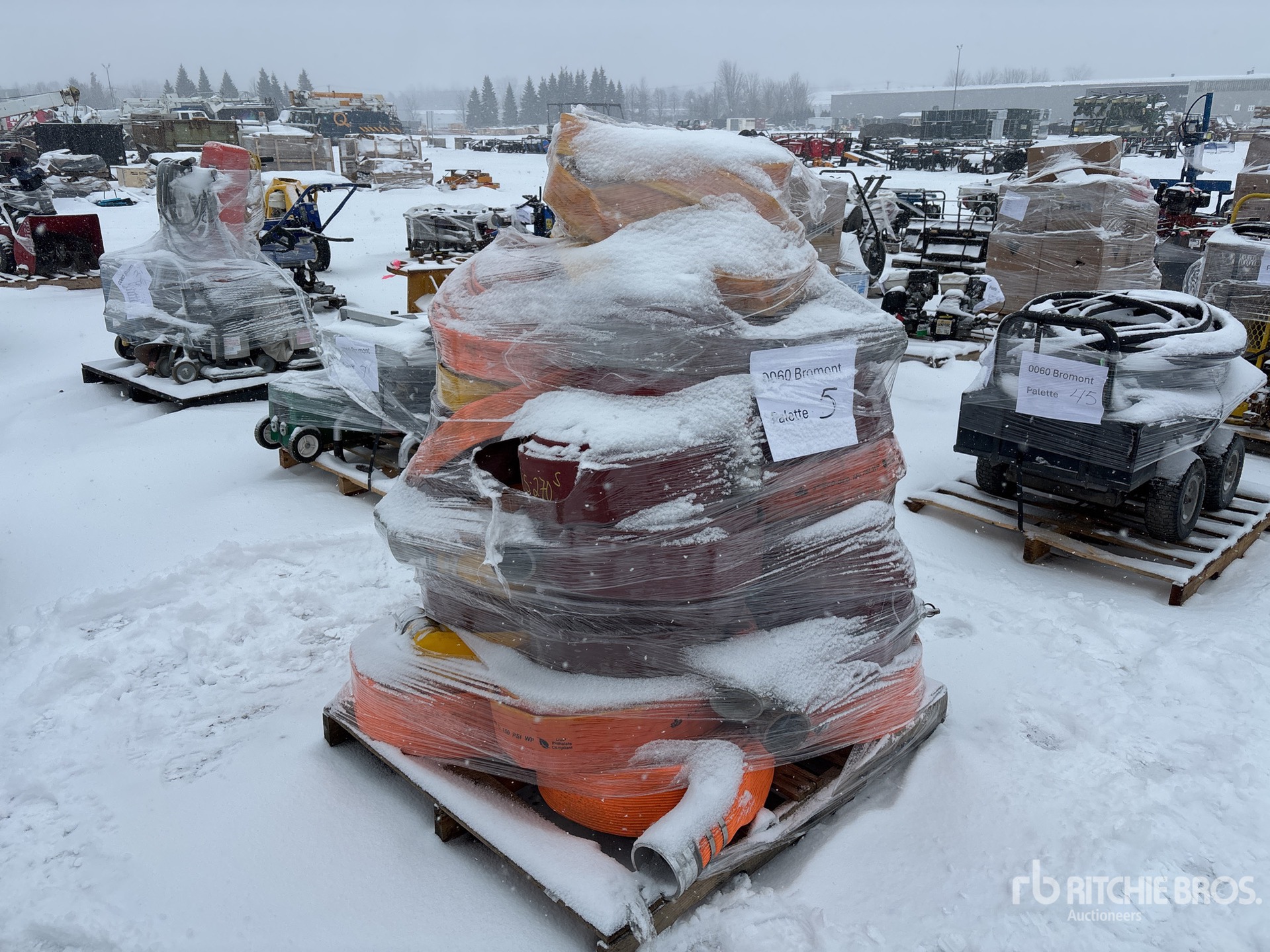 General Appearance with Bild, Ecke hinten rechts