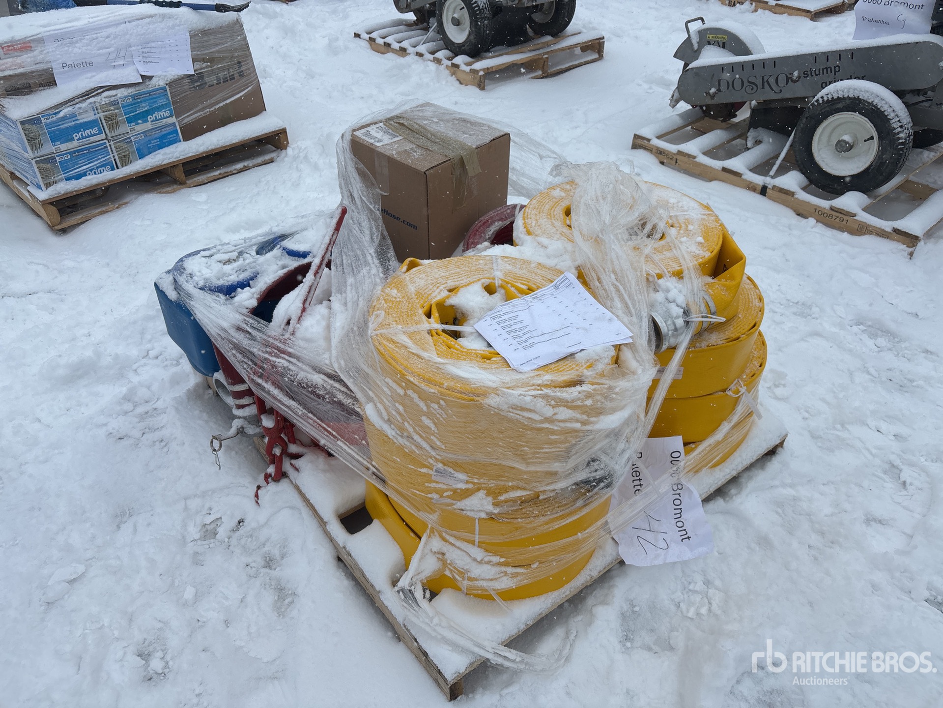 General Appearance with Imagen: esquina delantera derecha