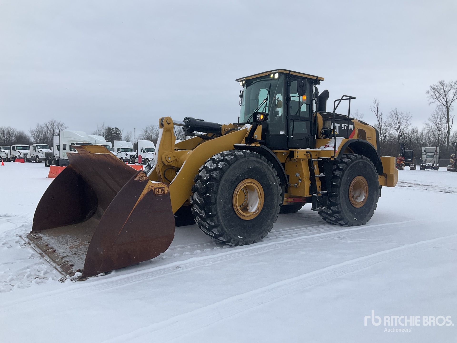 General Appearance with Spin