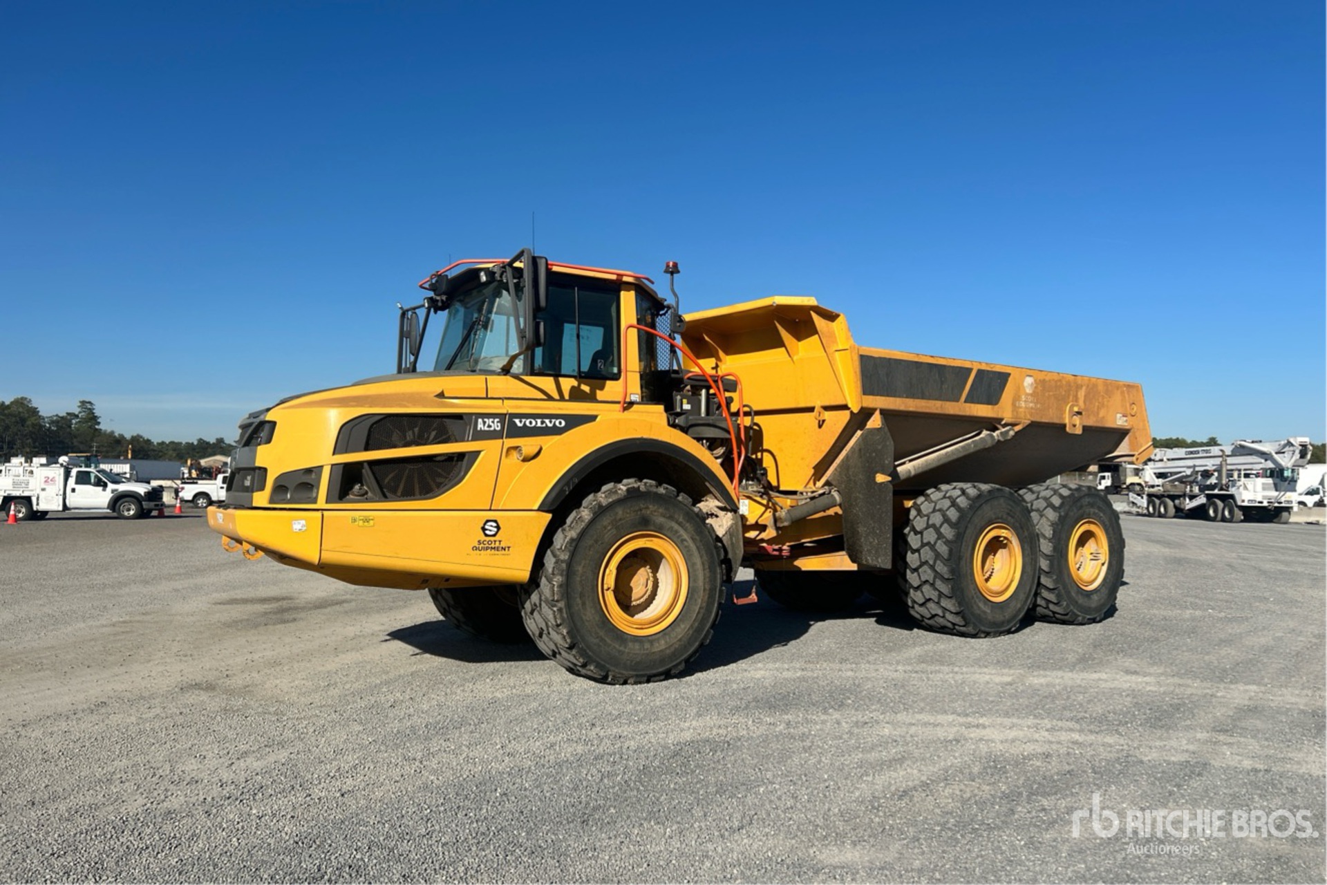 General Appearance with Spin