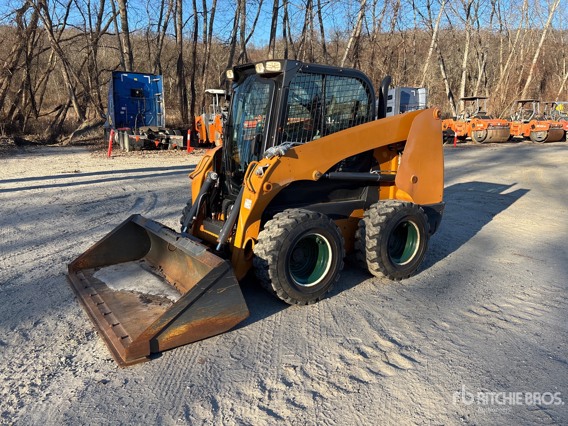 General Appearance with Spin