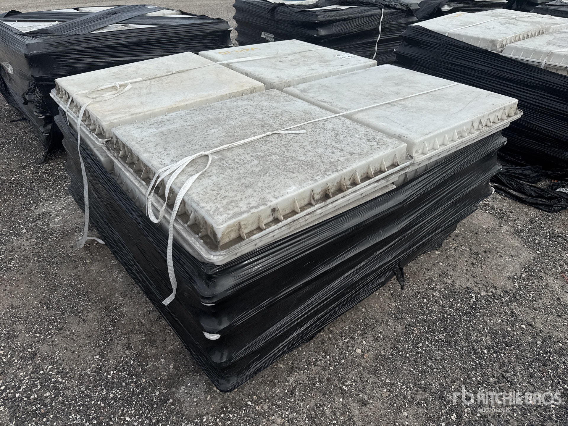 General Appearance with Zdjęcie, lewy dolny róg