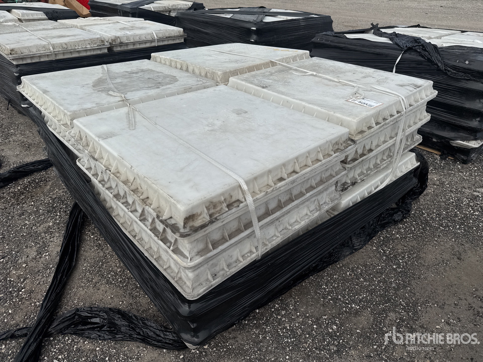 General Appearance with Zdjęcie, prawy dolny róg