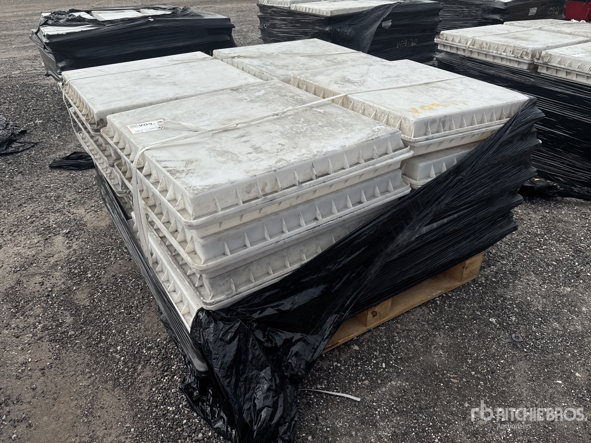 General Appearance with Zdjęcie, prawy górny róg