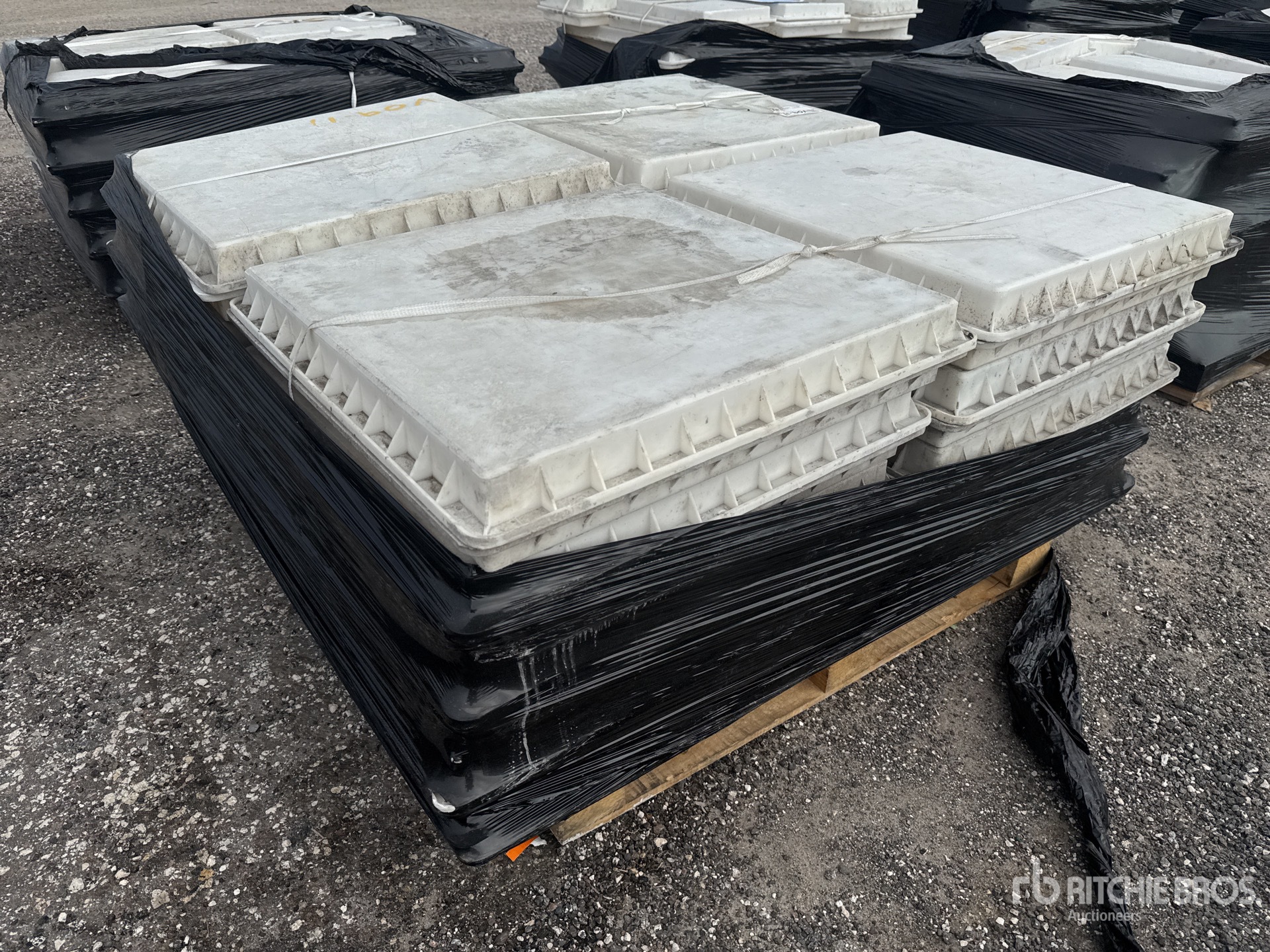 General Appearance with Zdjęcie, lewy dolny róg