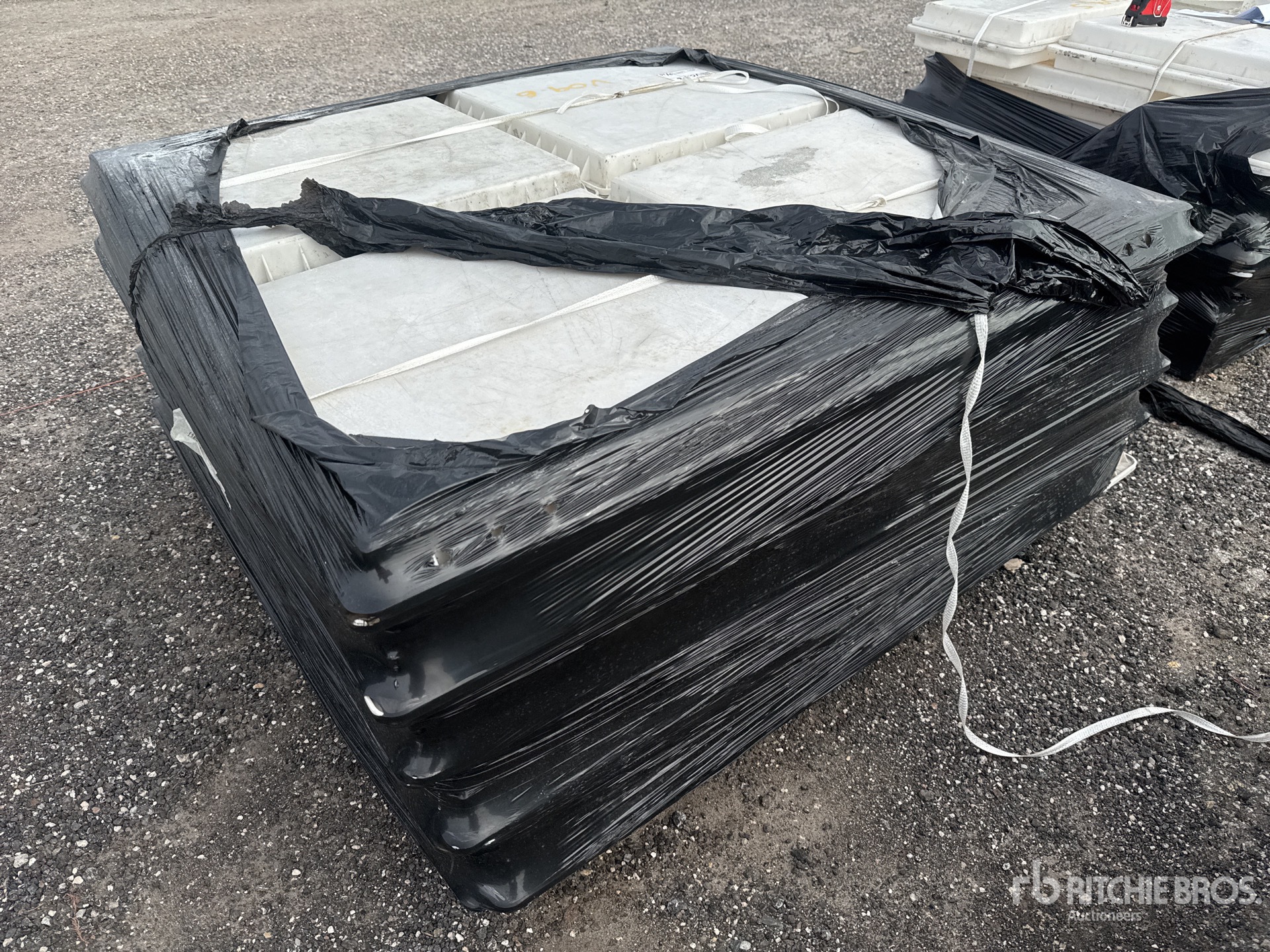 General Appearance with Zdjęcie, lewy dolny róg