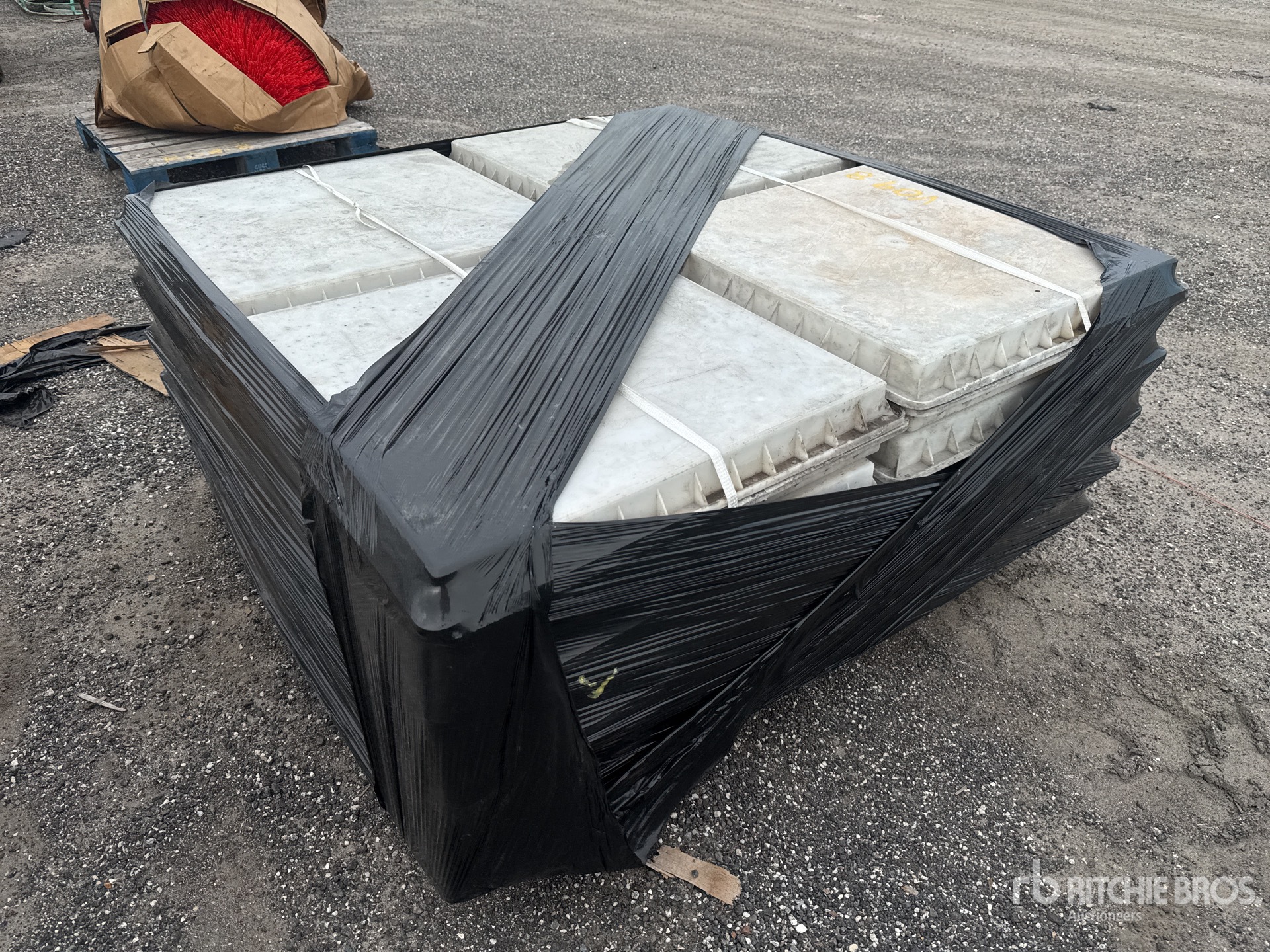 General Appearance with Zdjęcie, prawy dolny róg