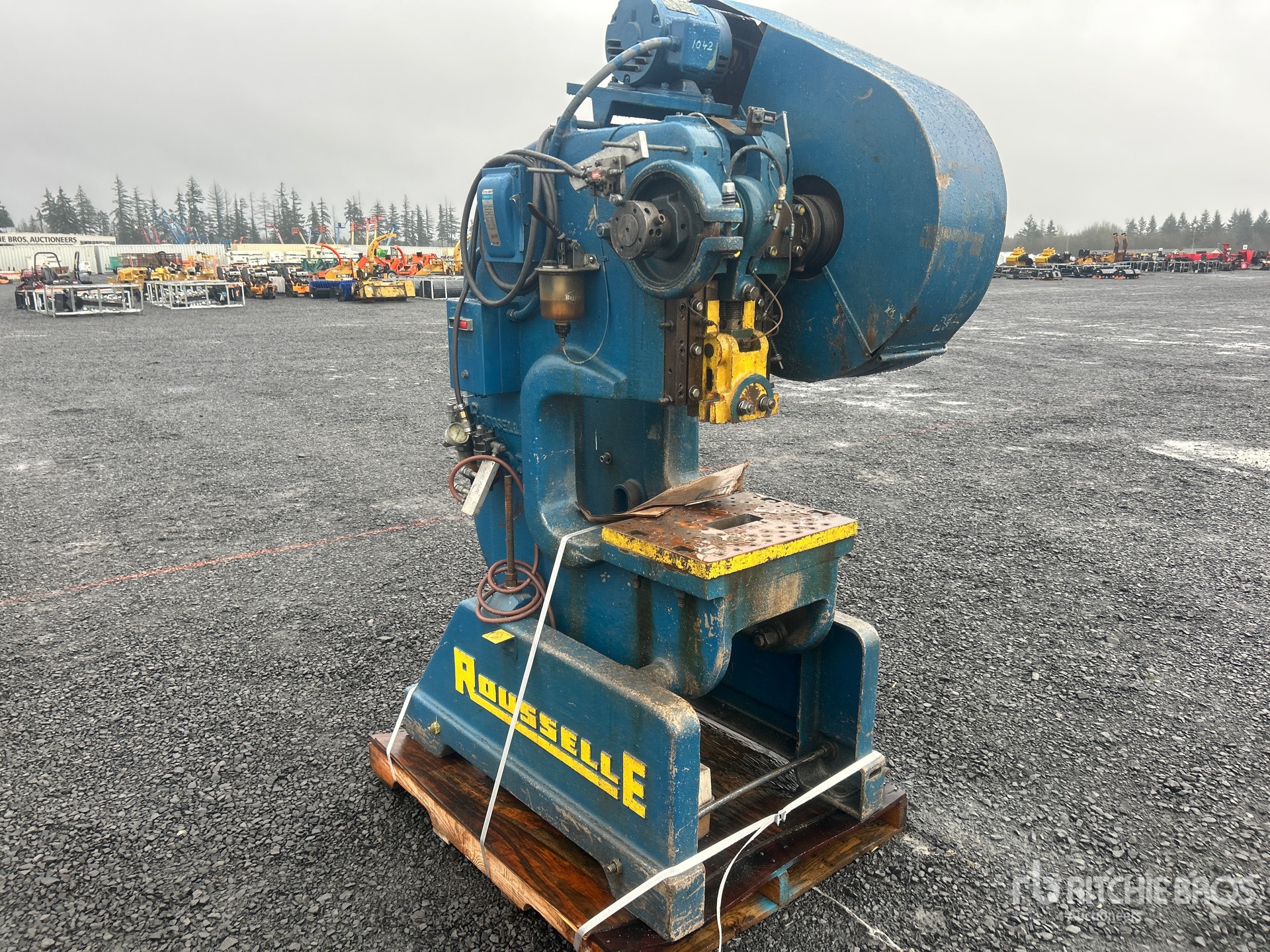 General Appearance with Zdjęcie, prawy górny róg