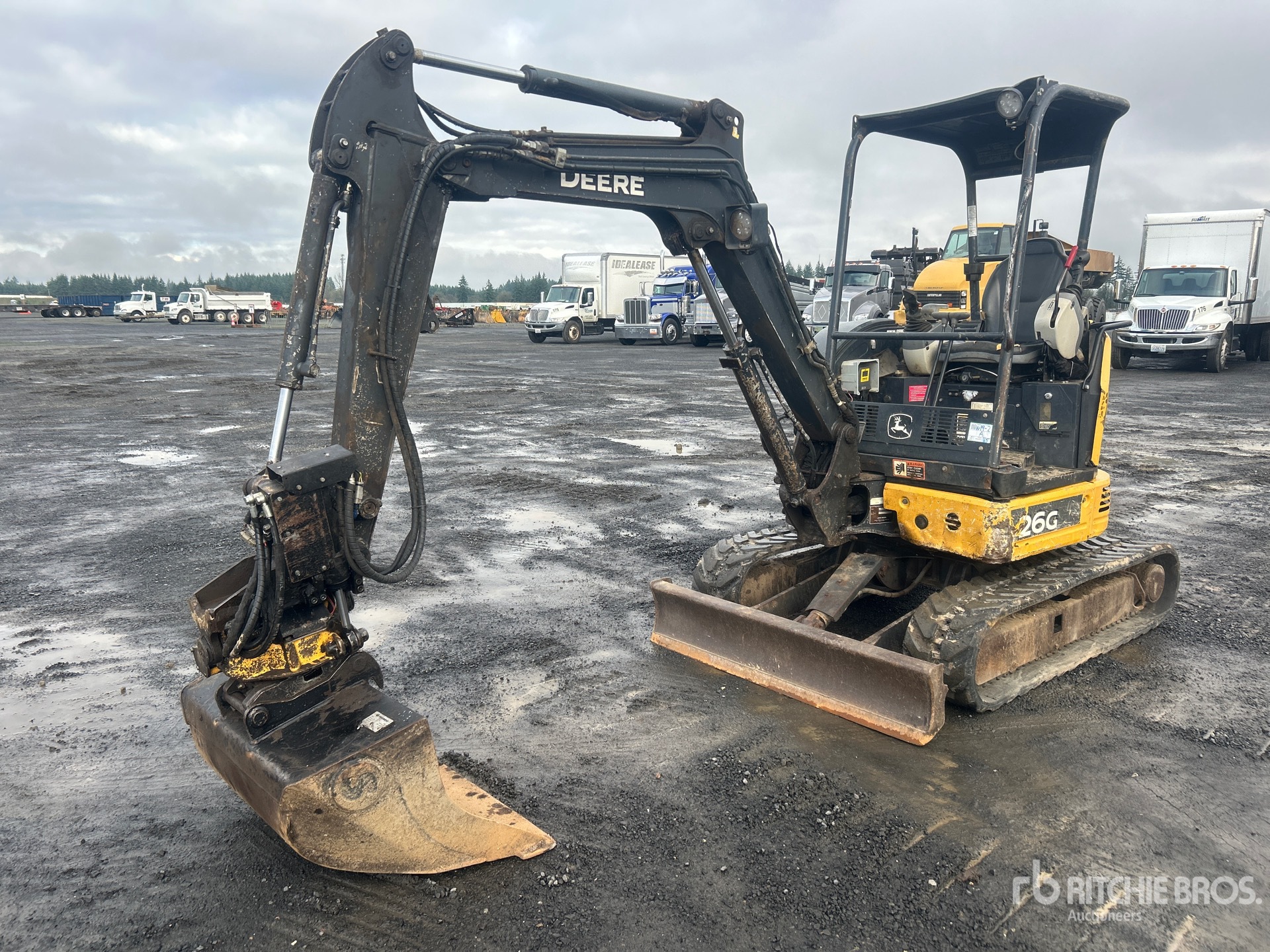 General Appearance with Spin