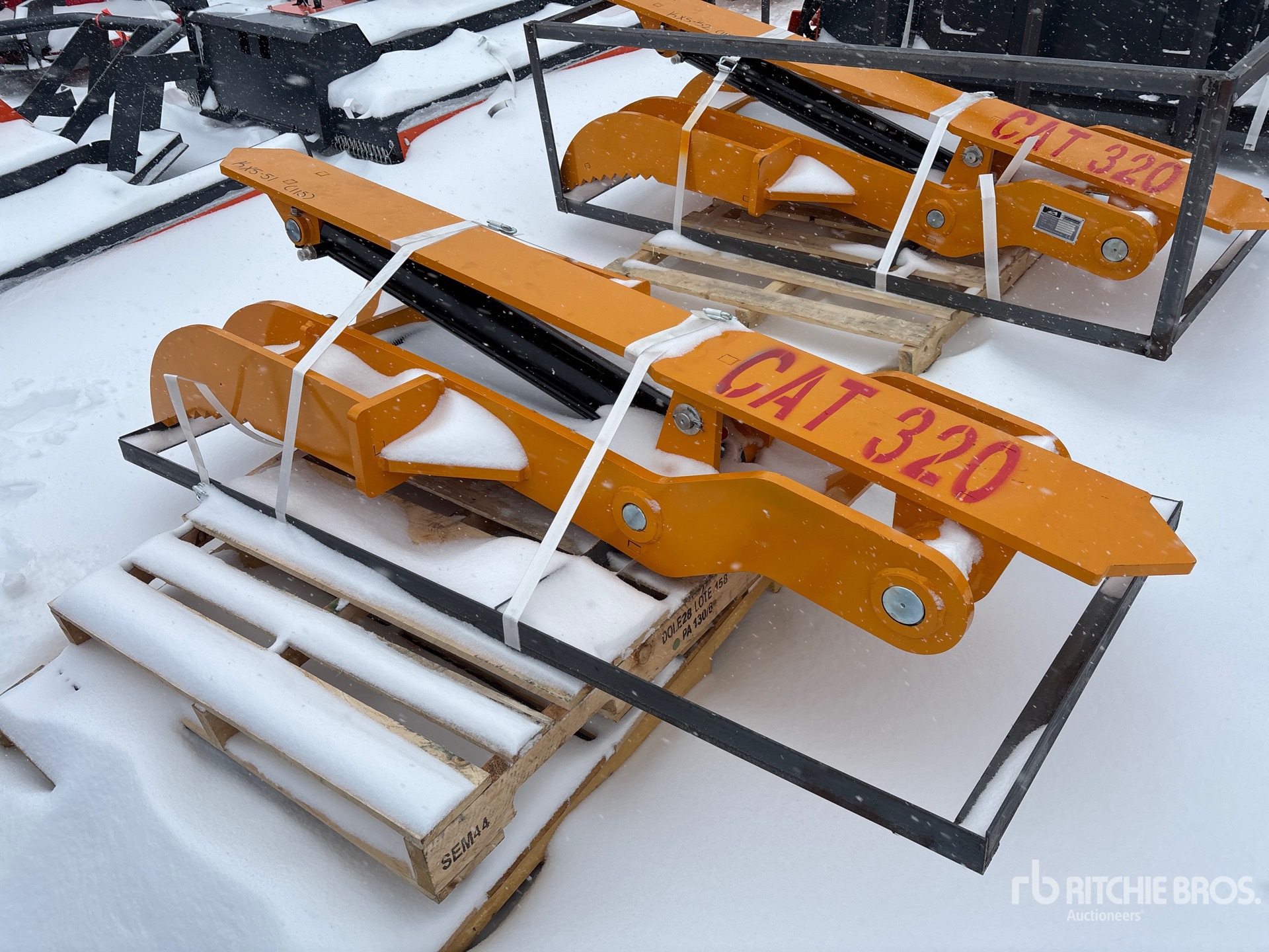 General Appearance with Zdjęcie, lewy górny róg