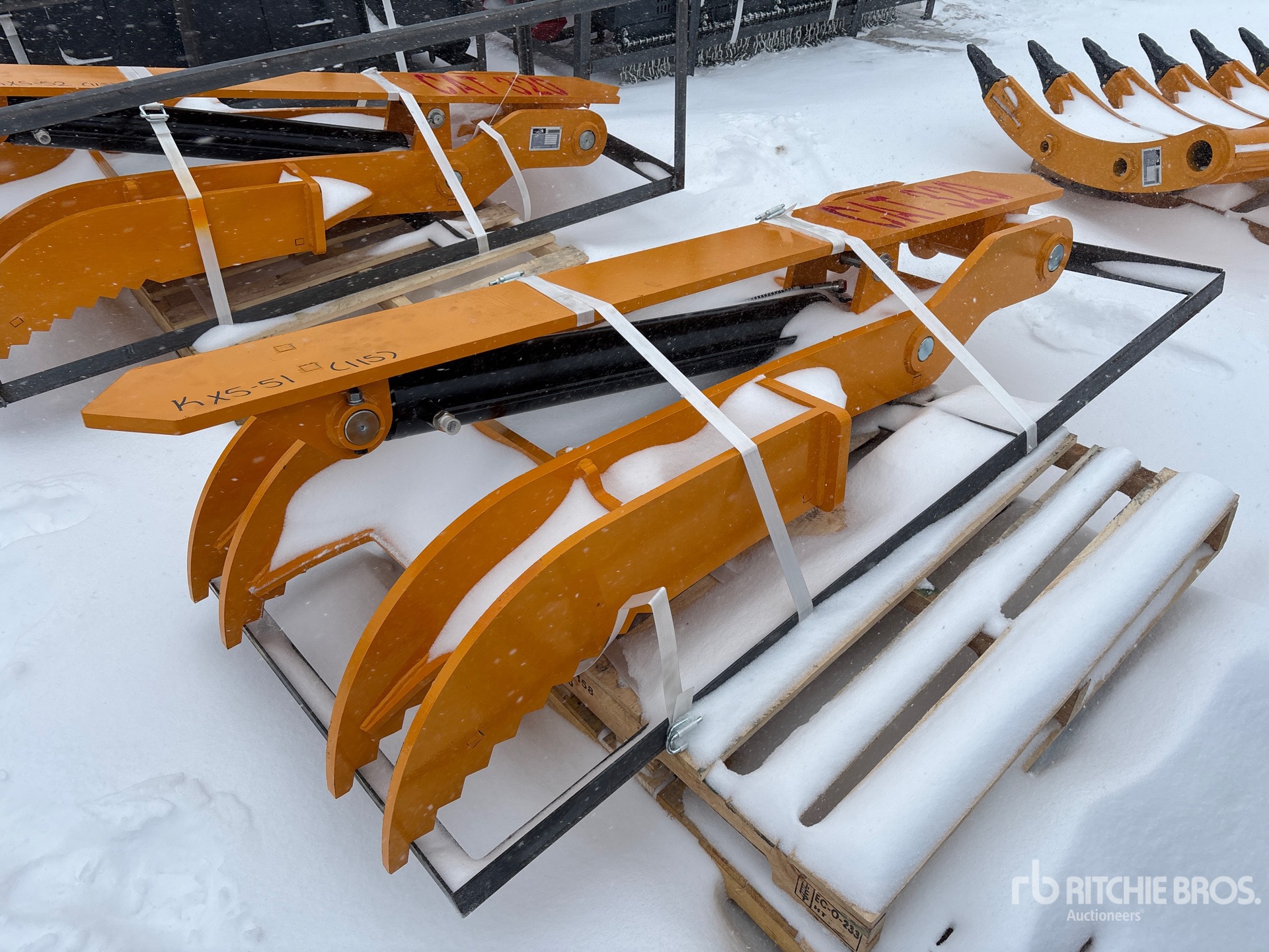 General Appearance with Zdjęcie, prawy górny róg