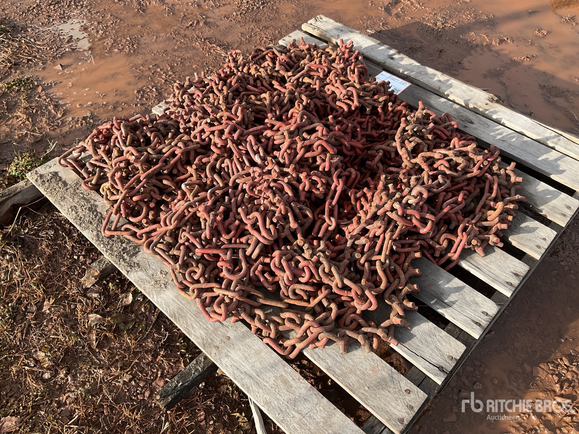 General Appearance with Zdjęcie, prawy dolny róg