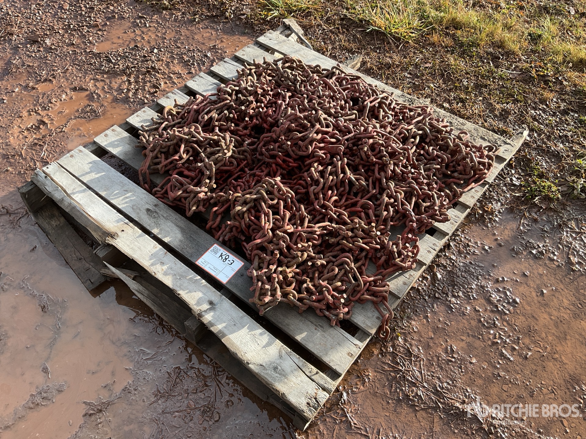 General Appearance with Zdjęcie, lewy górny róg