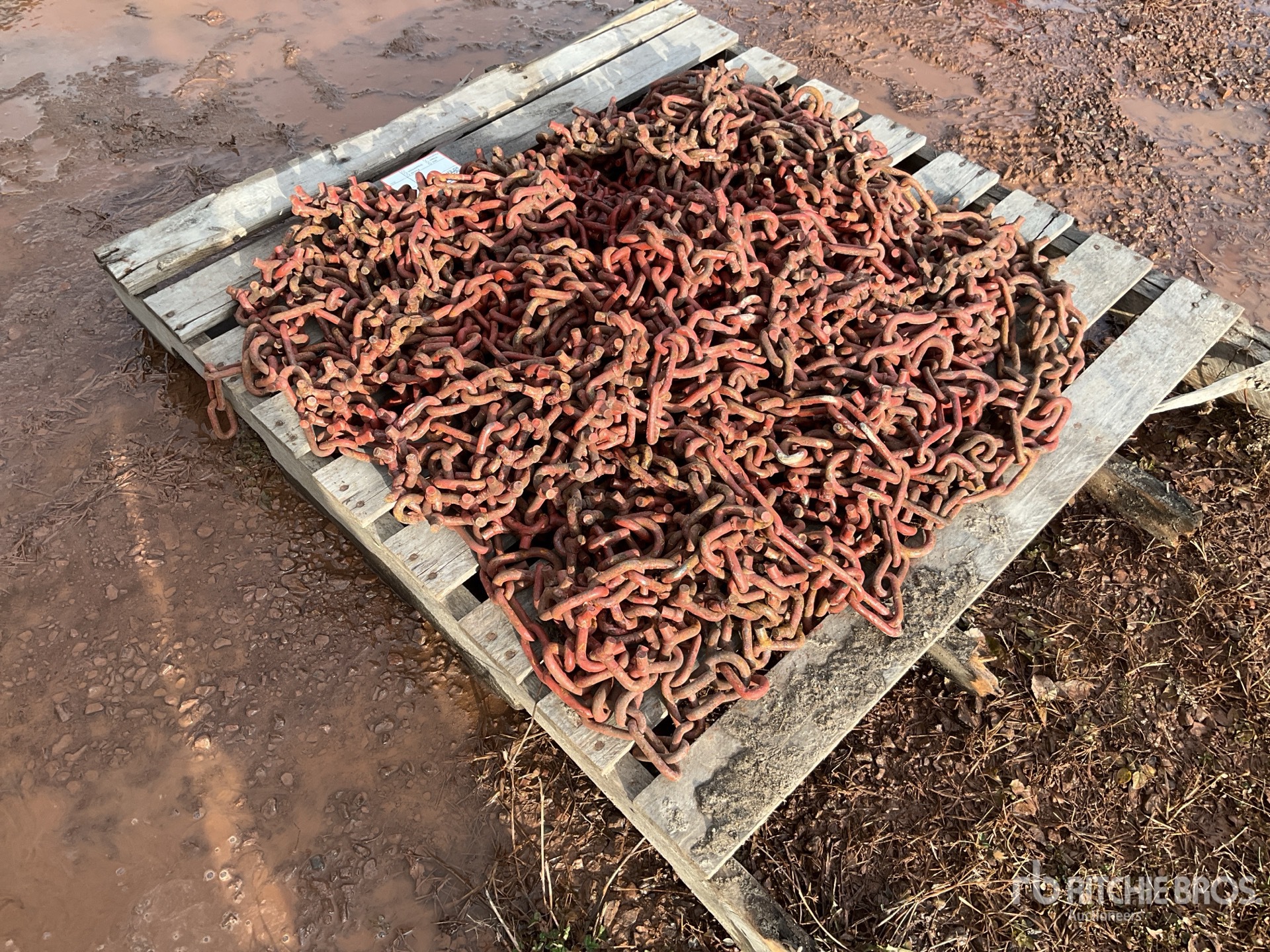 General Appearance with Zdjęcie, lewy dolny róg