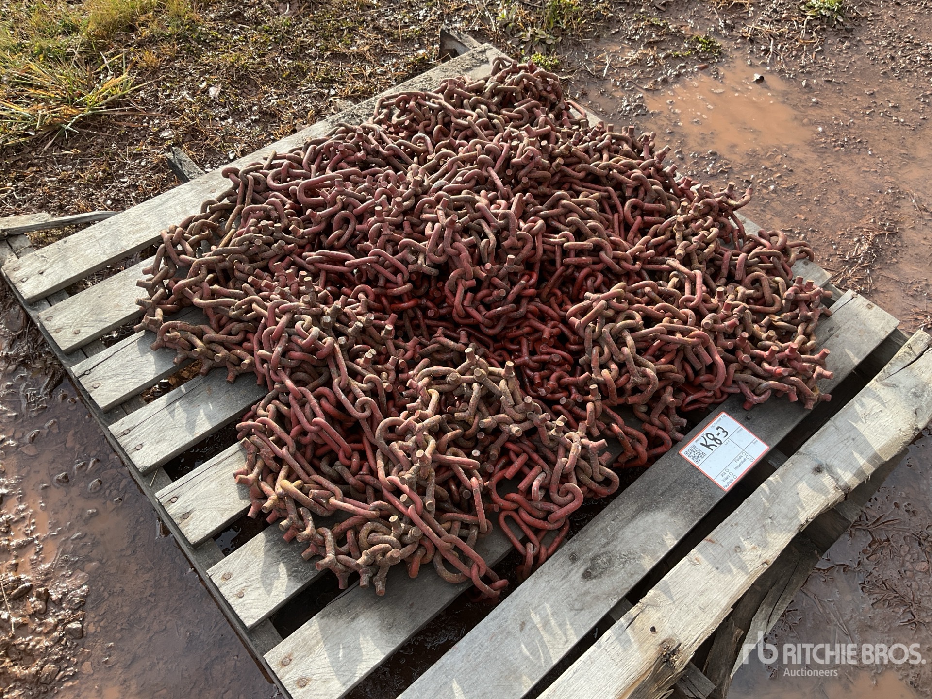 General Appearance with Zdjęcie, prawy górny róg