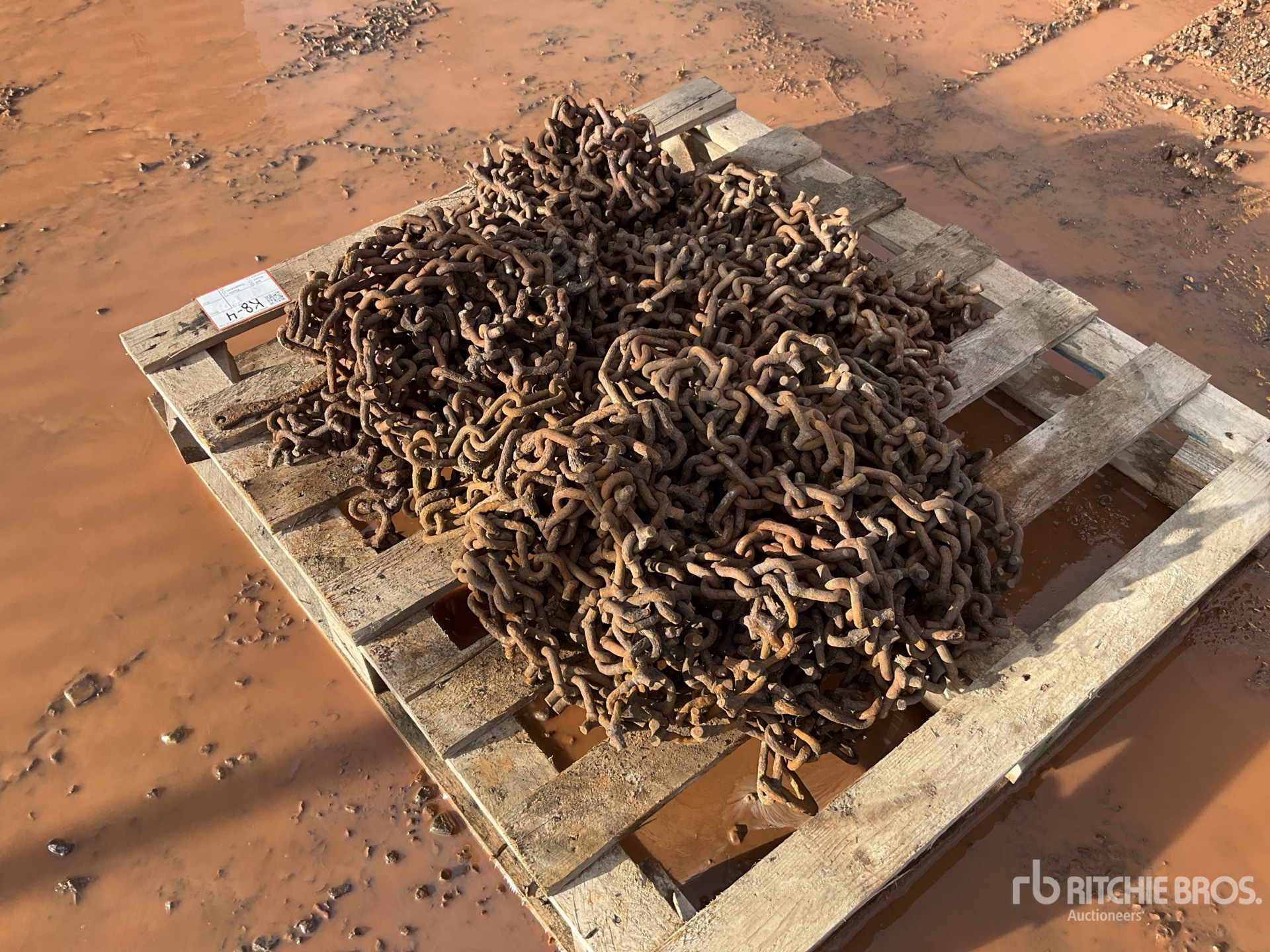 General Appearance with Zdjęcie, prawy dolny róg