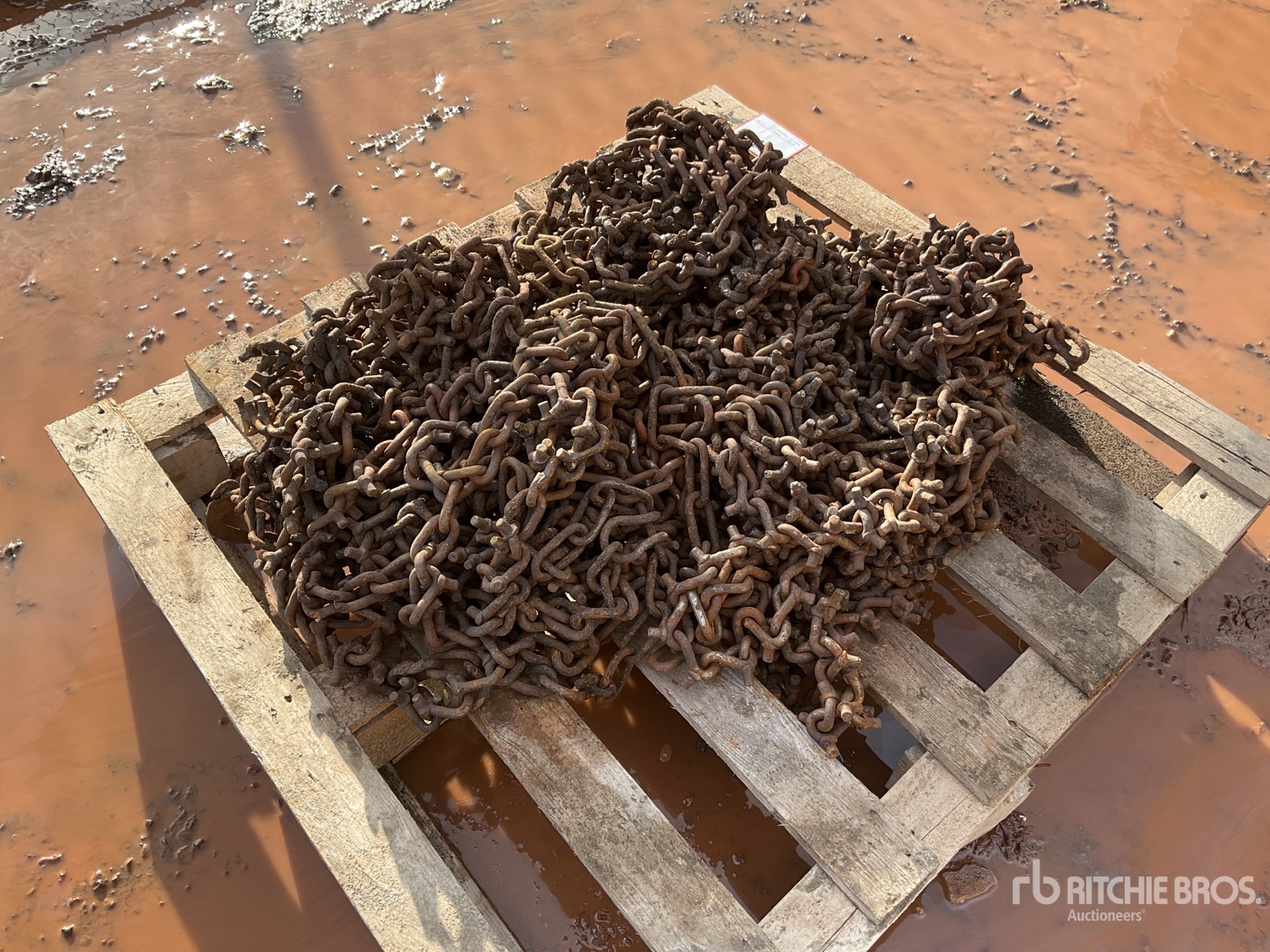 General Appearance with Zdjęcie, prawy górny róg