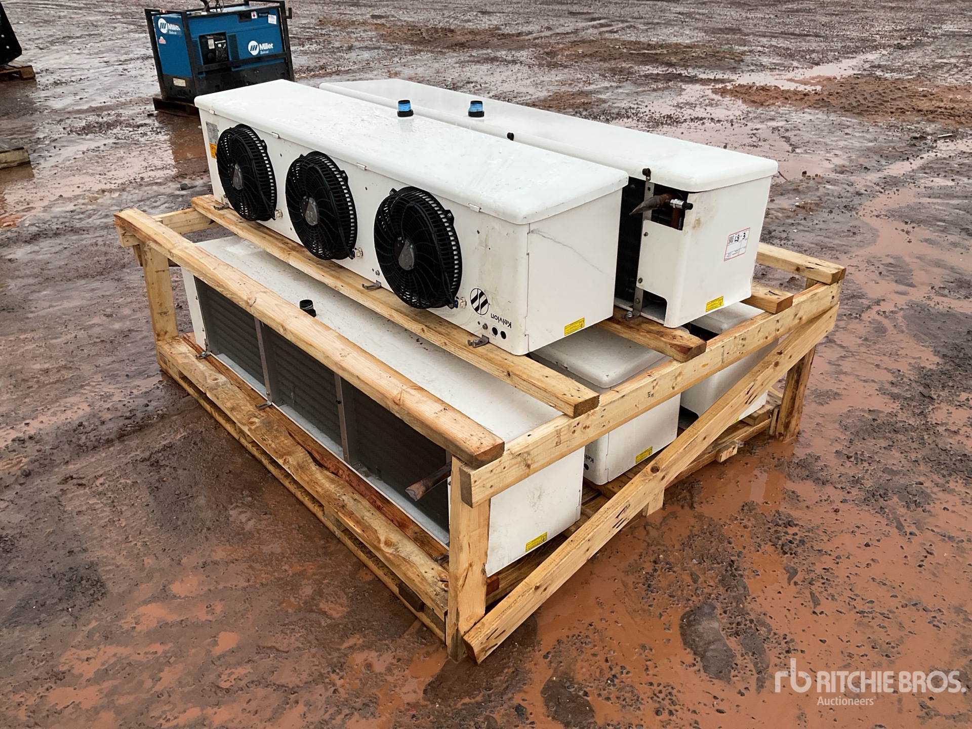 General Appearance with Image, coin arrière droit