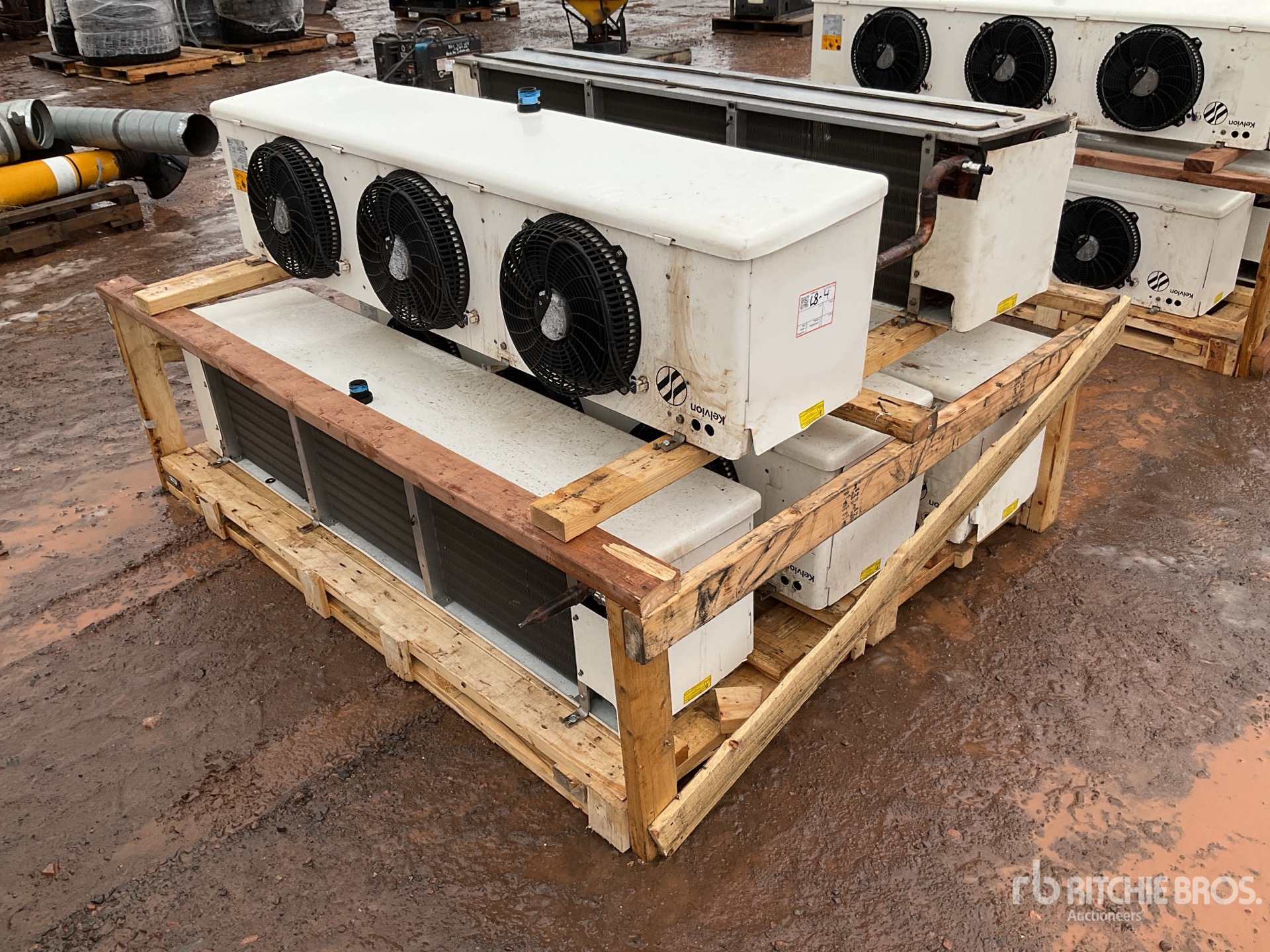 General Appearance with Image, coin arrière droit