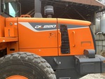 General Appearance with Paint