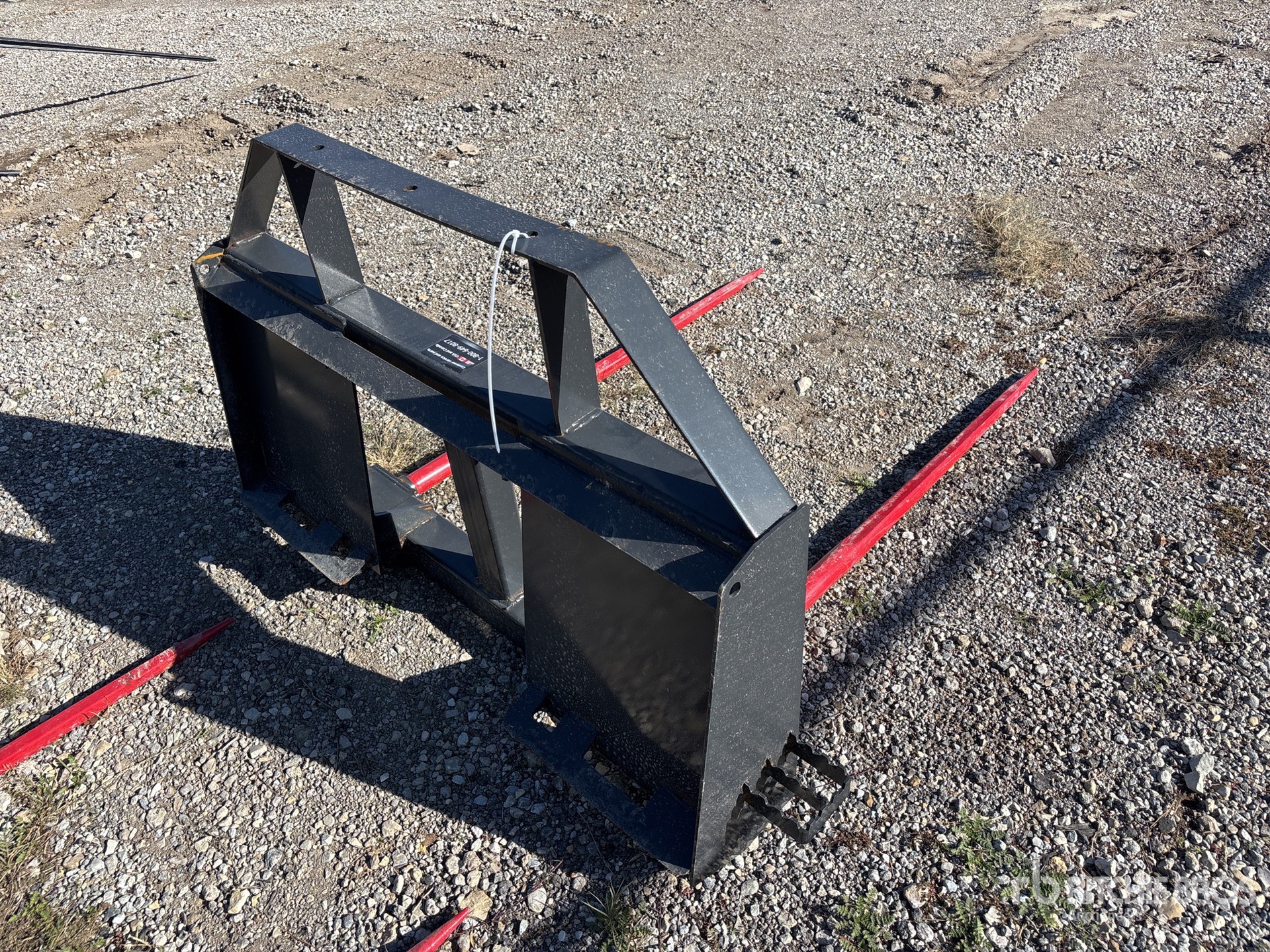 General Appearance with Zdjęcie, prawy dolny róg