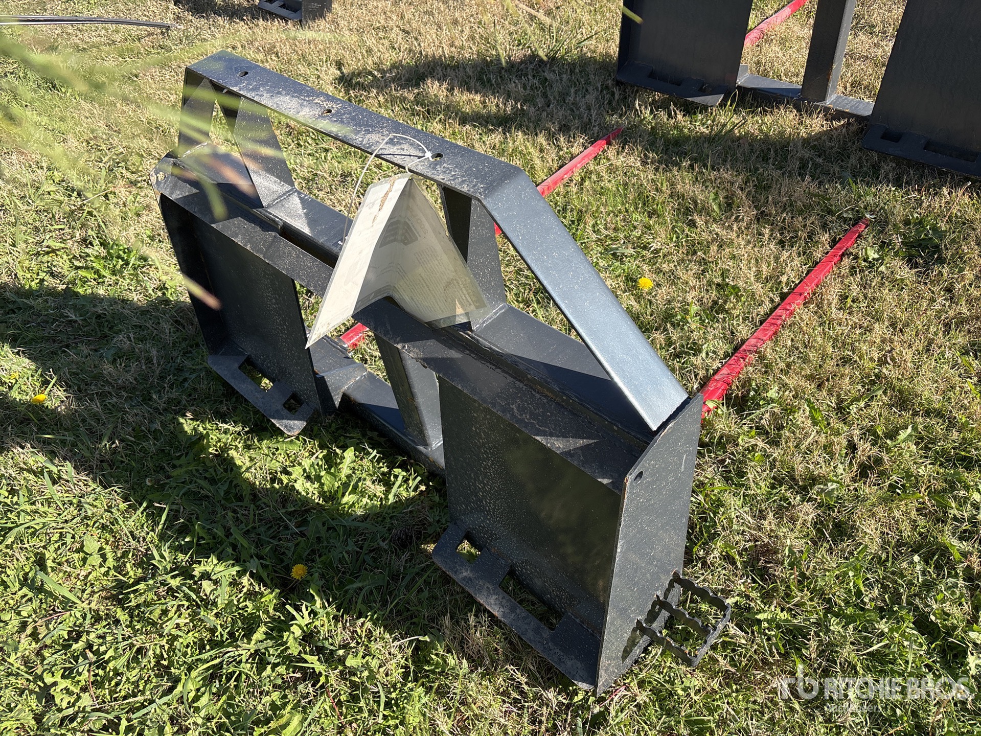 General Appearance with Zdjęcie, prawy dolny róg