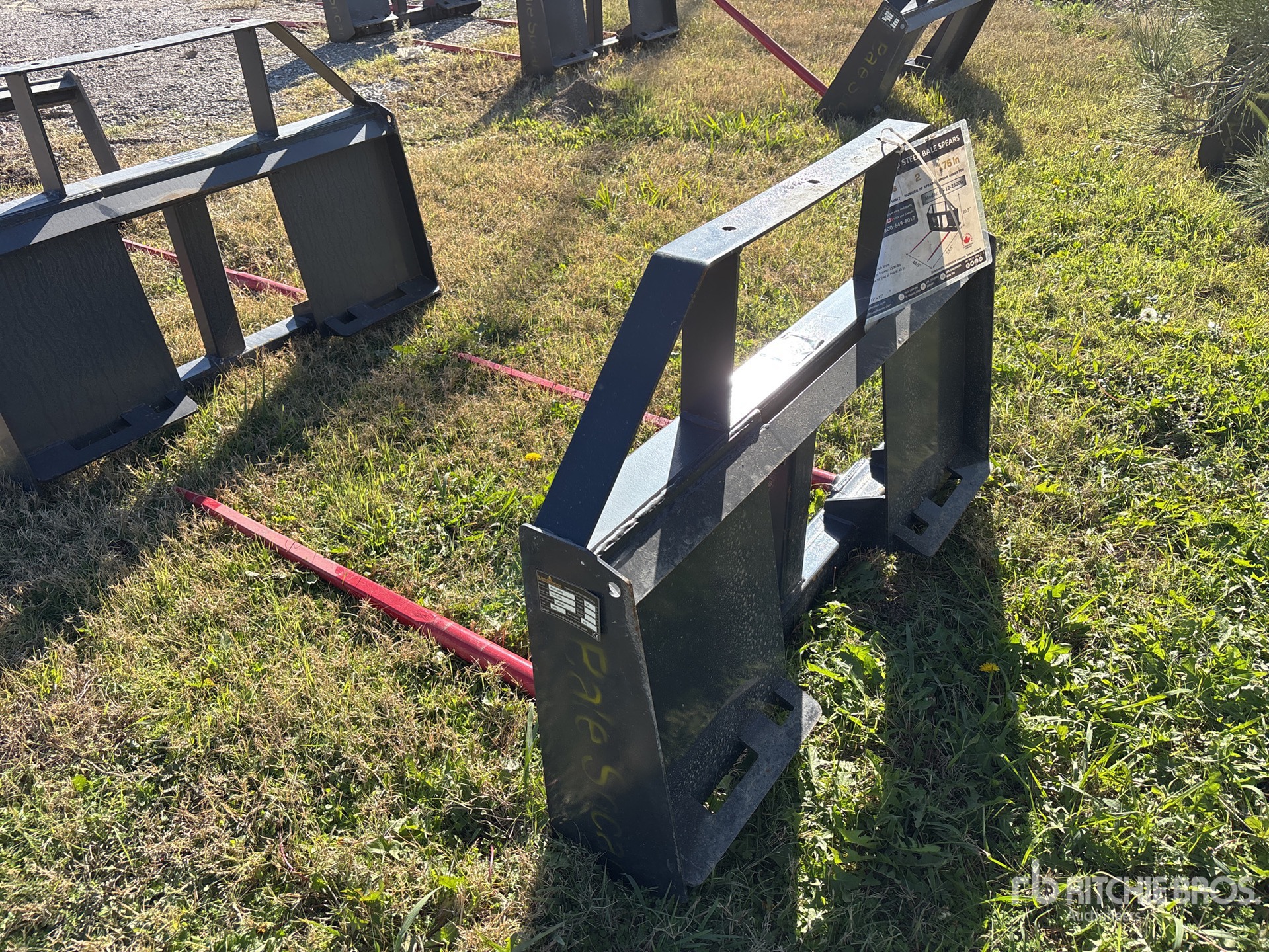 General Appearance with Zdjęcie, lewy dolny róg