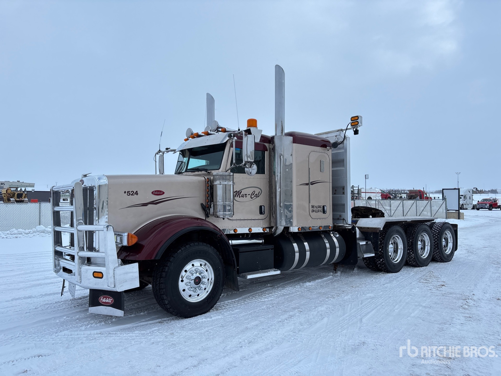 General Appearance with Spin