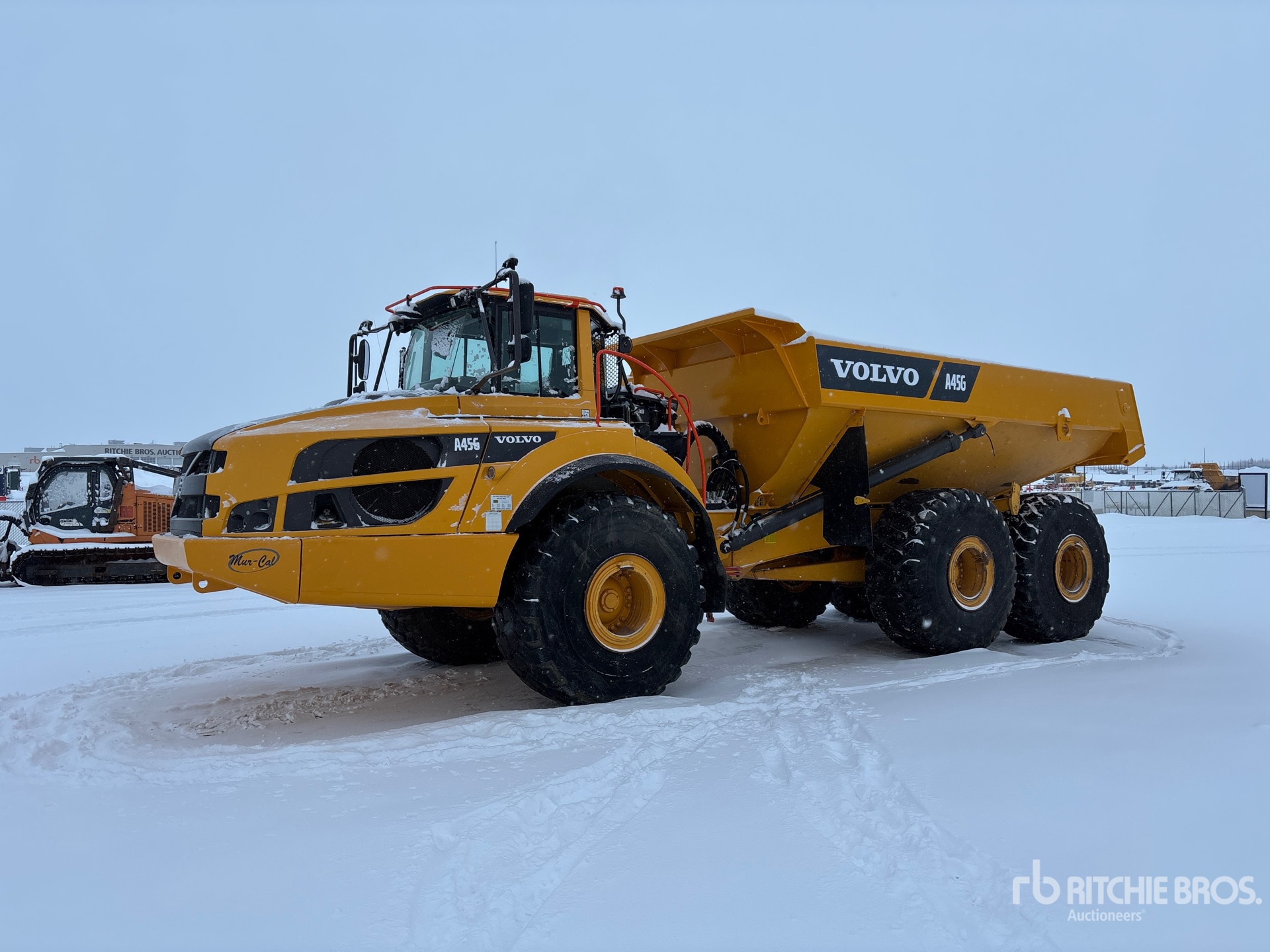 General Appearance with Spin