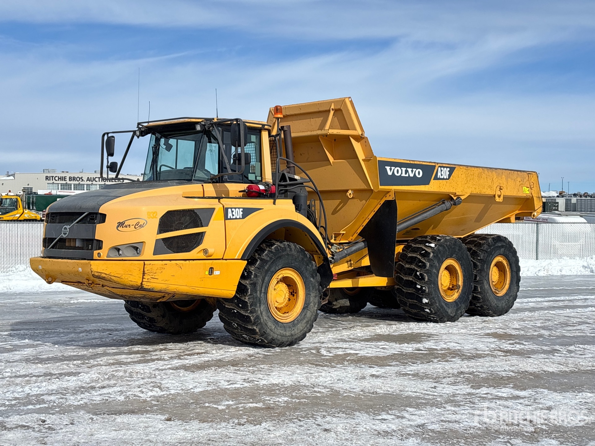 General Appearance with Spin