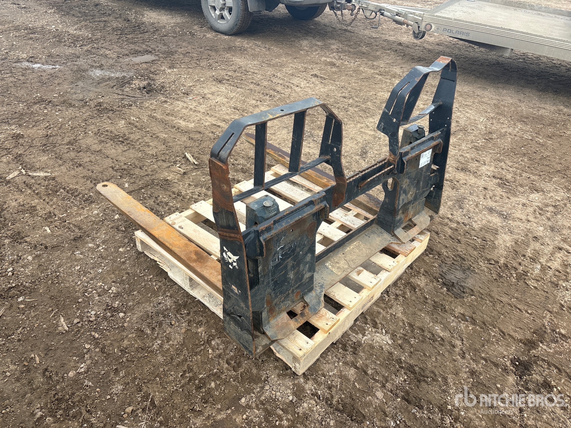 General Appearance with Zdjęcie, lewy dolny róg