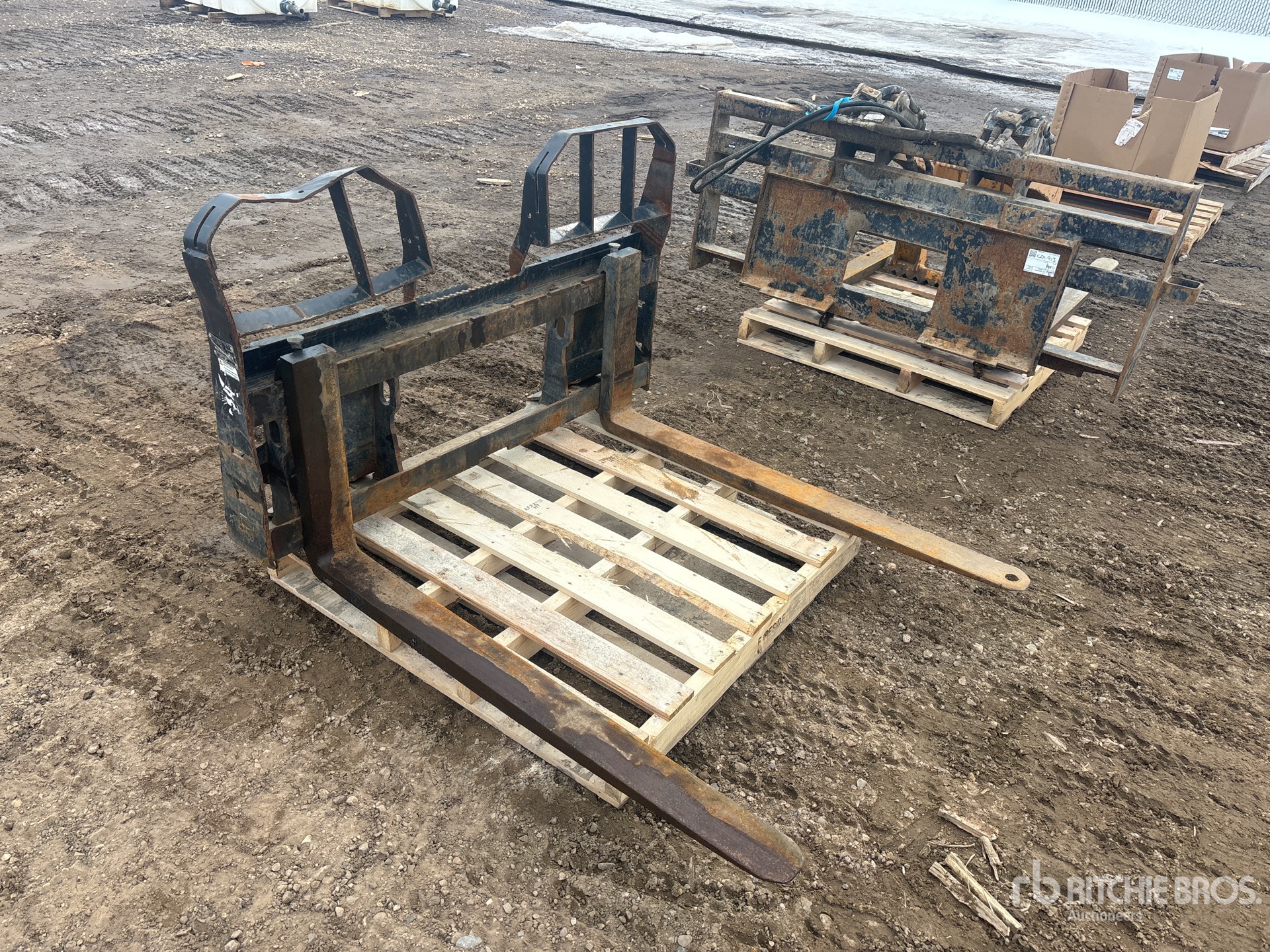 General Appearance with Zdjęcie, prawy górny róg