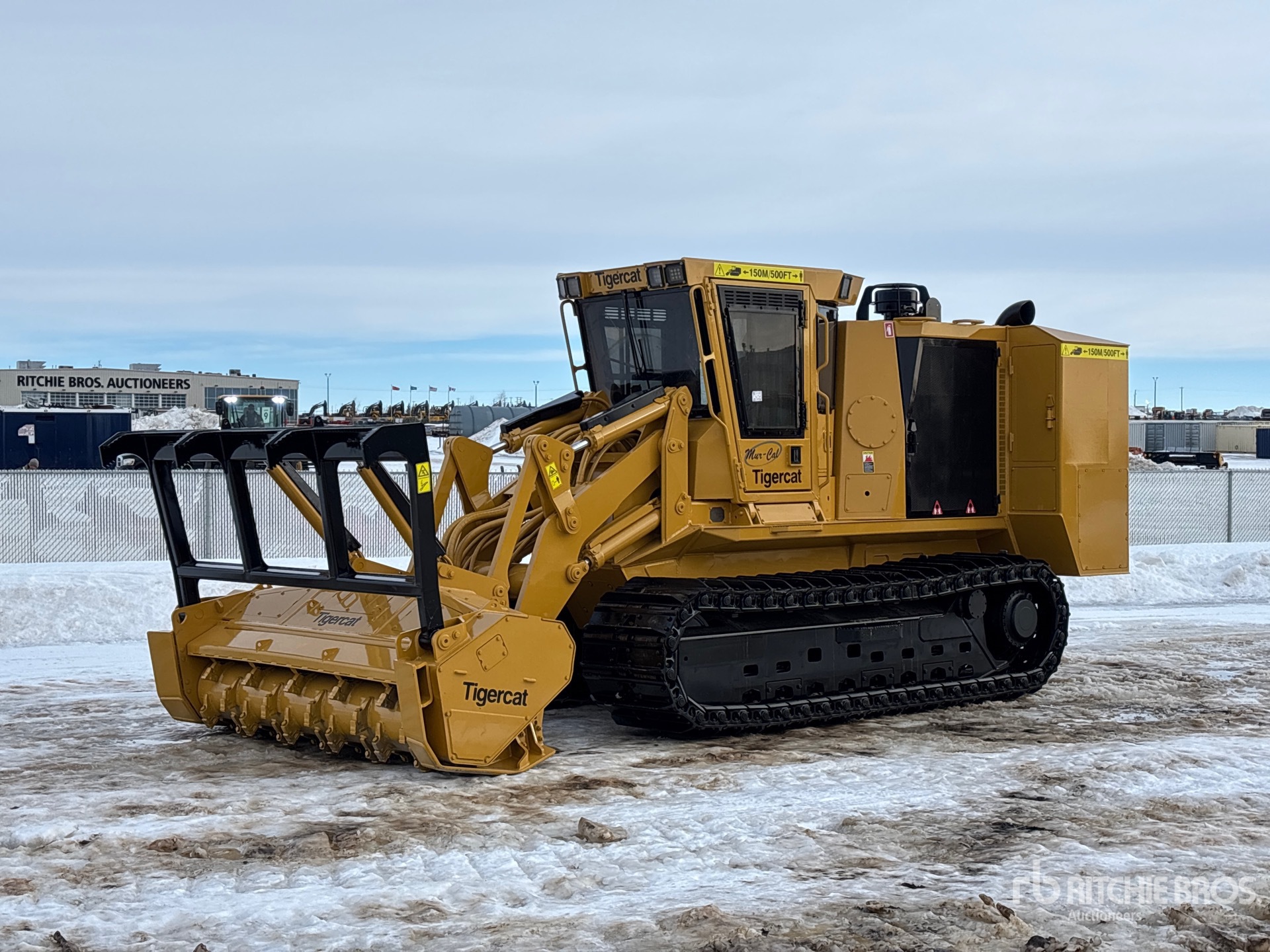 General Appearance with Bild, Ecke vorne links