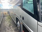 General Appearance with Pintura