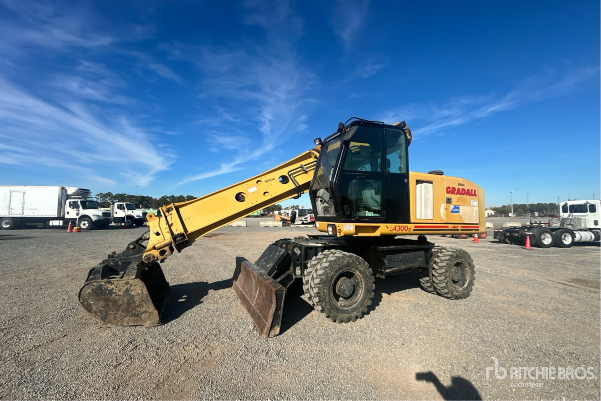 General Appearance with Spin