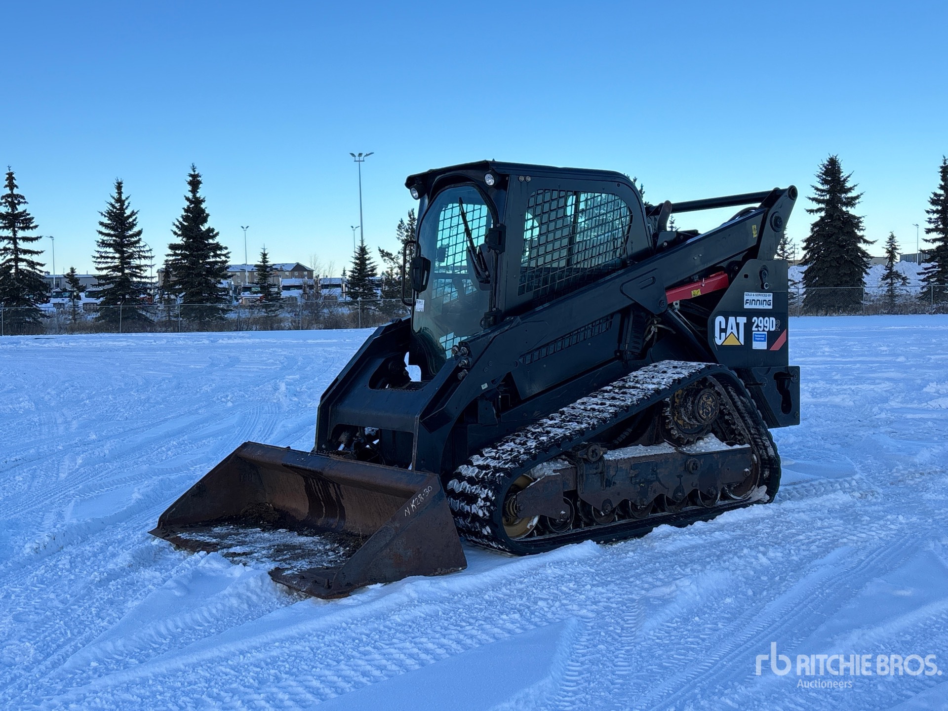 General Appearance with Spin