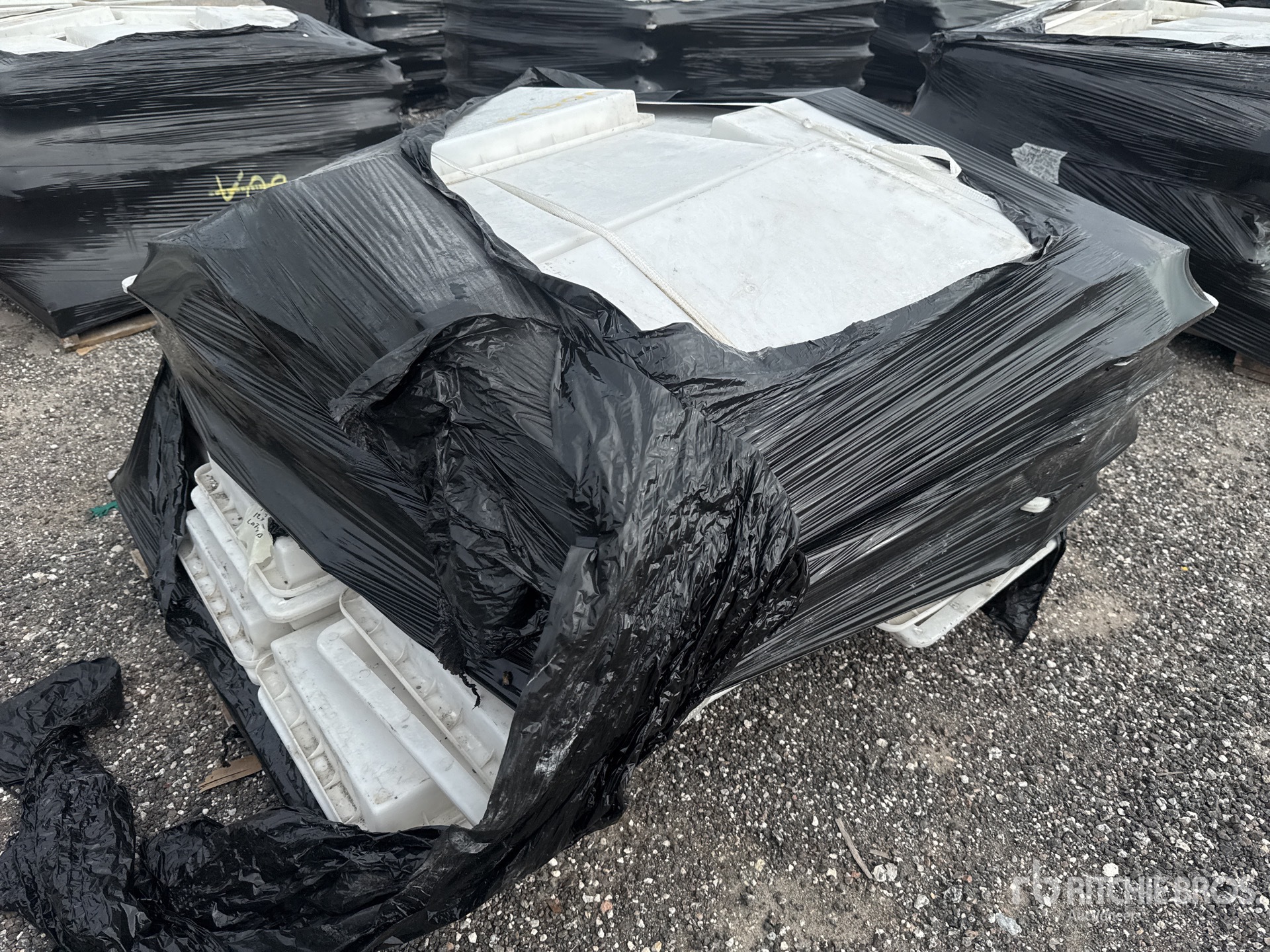 General Appearance with Zdjęcie, lewy dolny róg