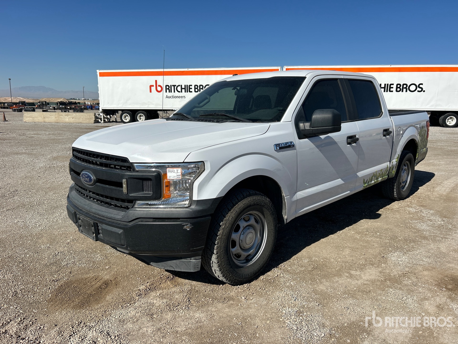 General Appearance with Spin