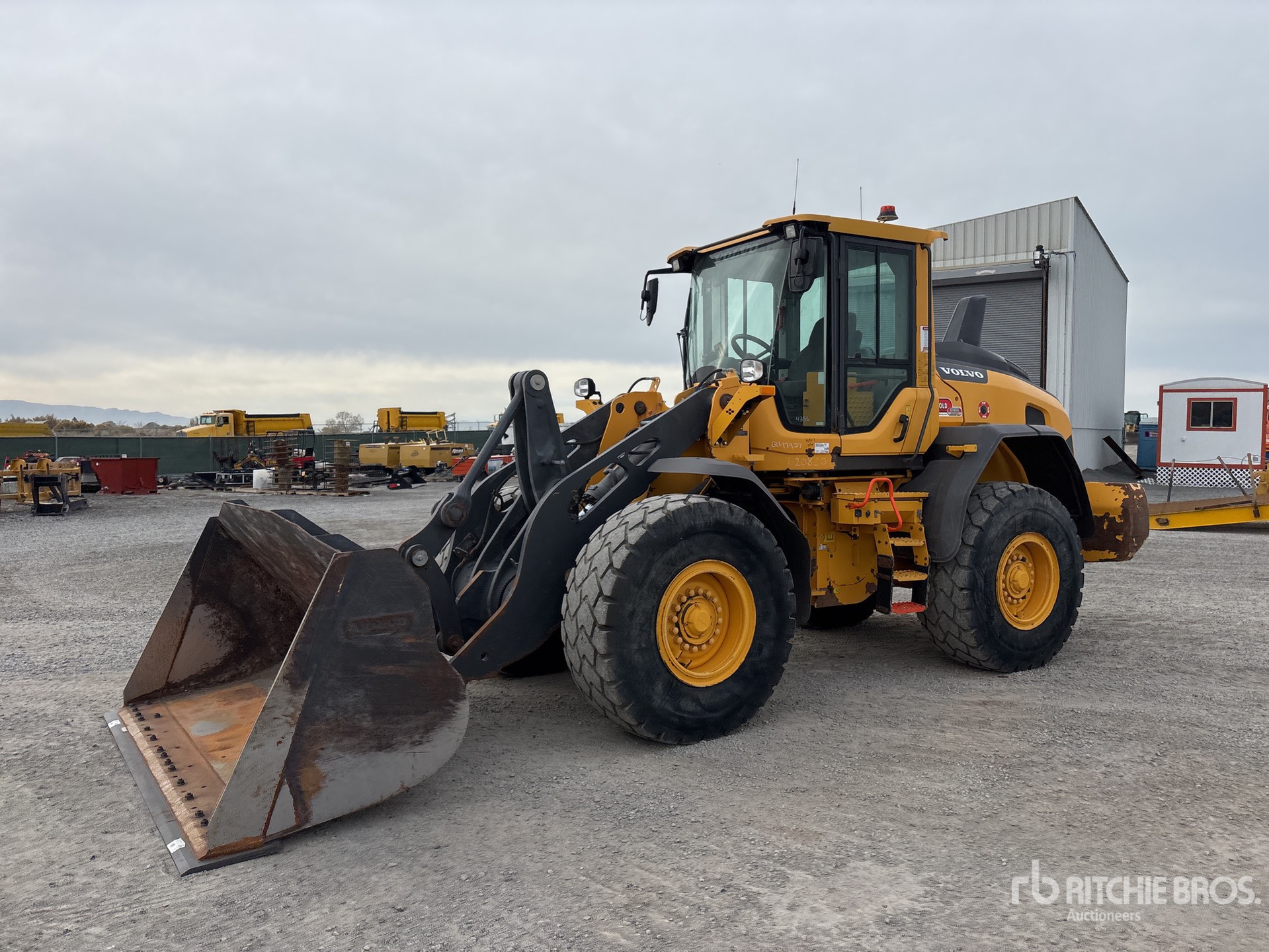 General Appearance with Bild, Ecke vorne links