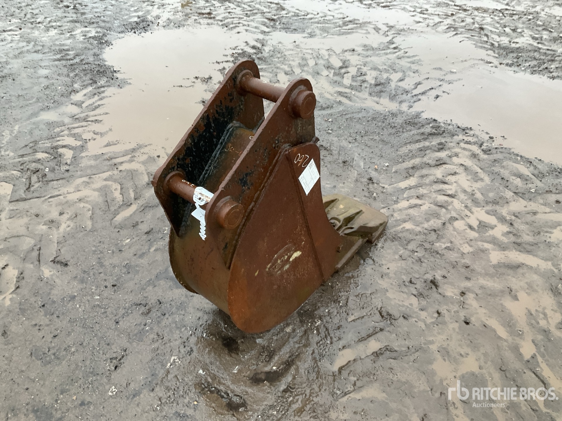 General Appearance with Foto, angolo anteriore sinistro