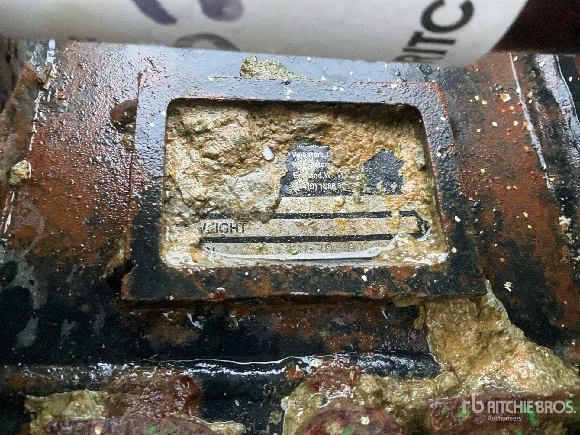 General Appearance with Numero seriale/numero d’identificazione del veicolo (VIN)