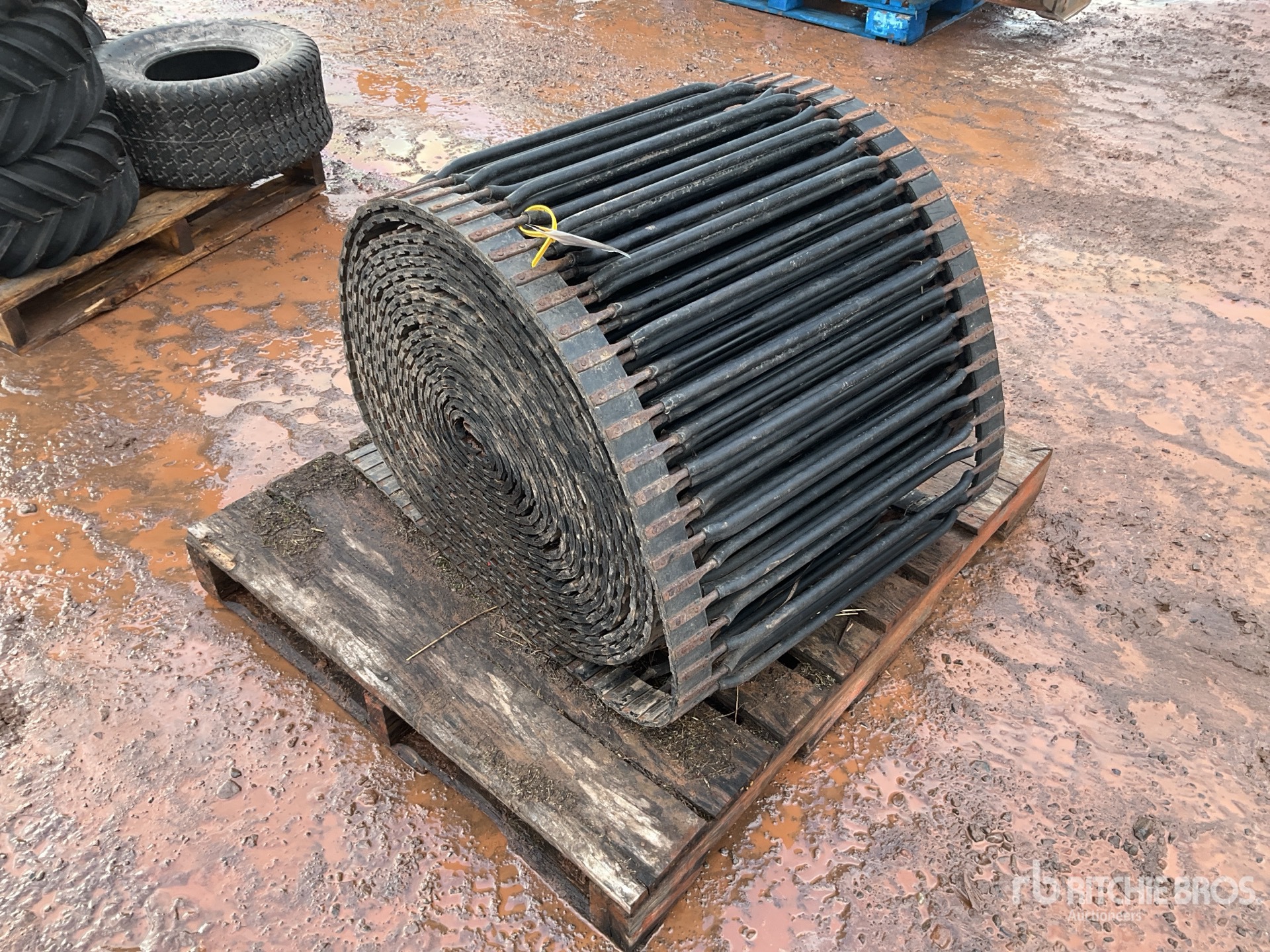 General Appearance with Bild, Ecke vorne rechts