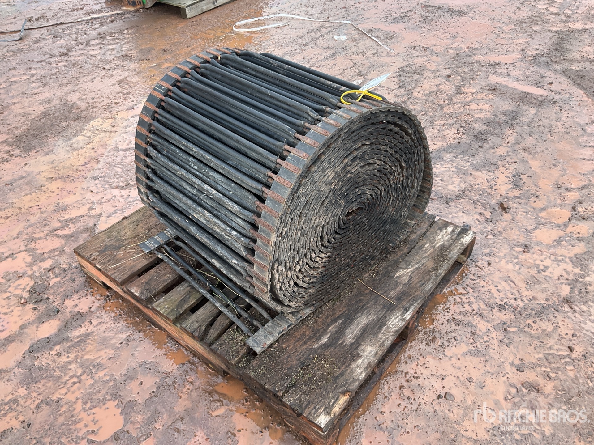 General Appearance with Bild, Ecke hinten rechts